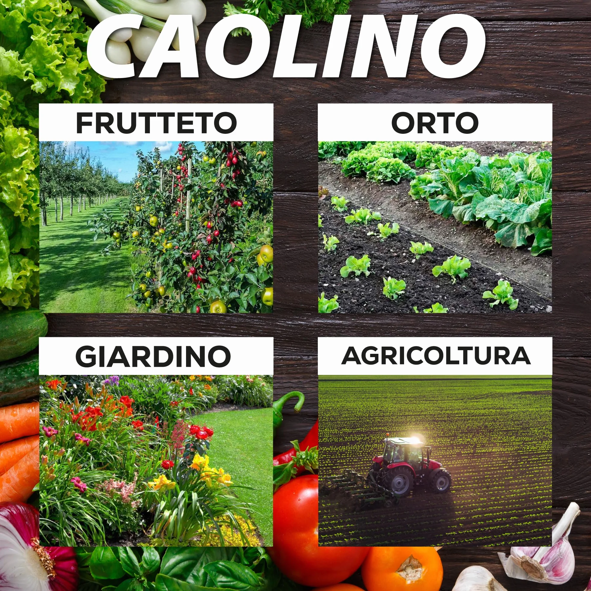 Caolino corroborante potenziatore difese naturali MOSCA DELL'OLIVO 25 kg