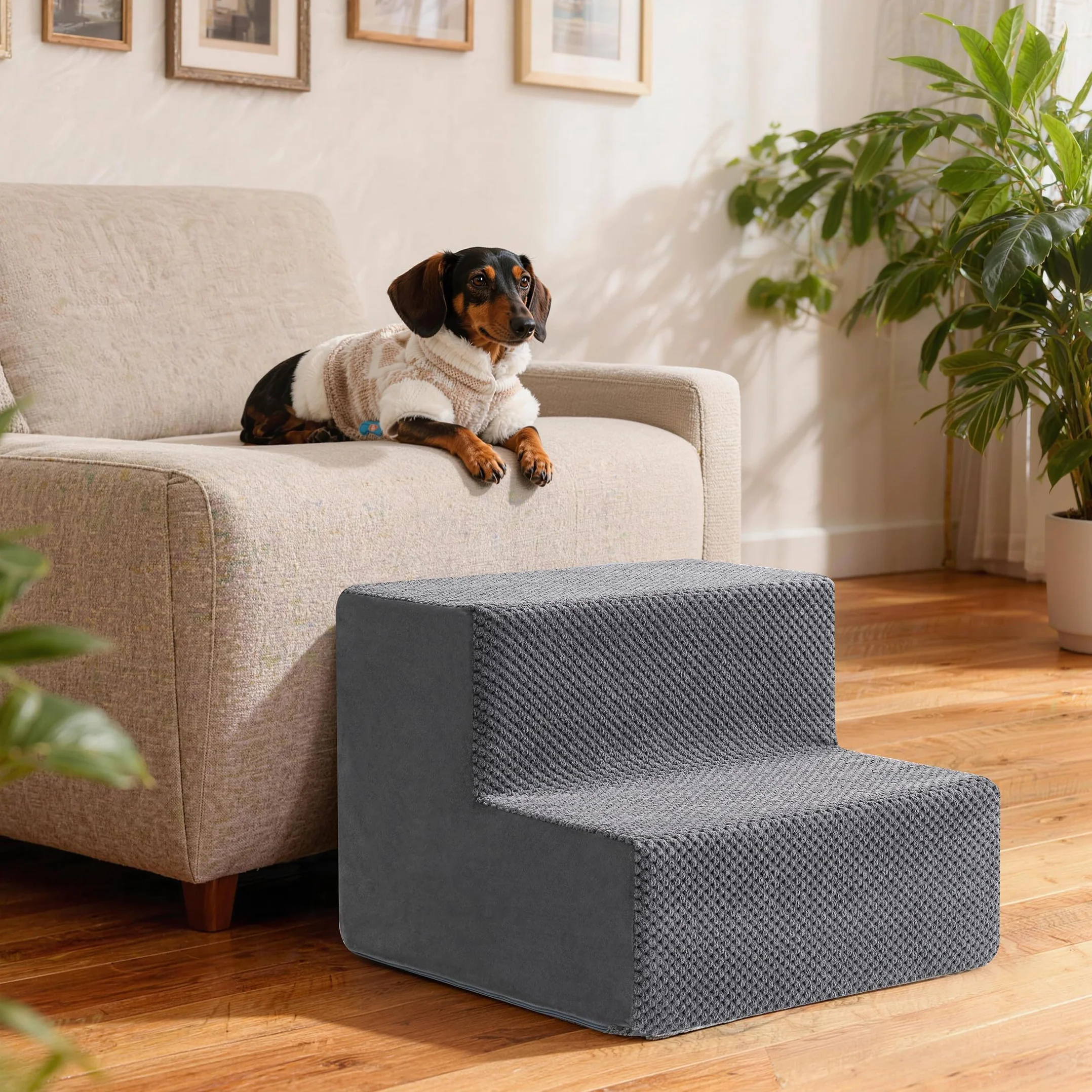 Scaletta per Cani Rampa per Letto 33-61 cm Scala Rimovibile Schiuma 40D Antiscivolo Grigio