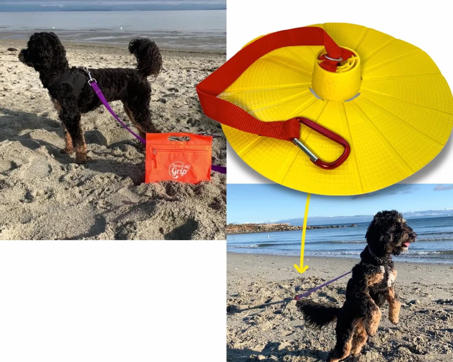 BeachGrip Ancoraggio per cani da spiaggia, progettato per funzionare nella sabbia, piccolo, leggero, facile da usare e durevole, l'accessorio per portare il vostro amico a quattro zampe in spiaggia