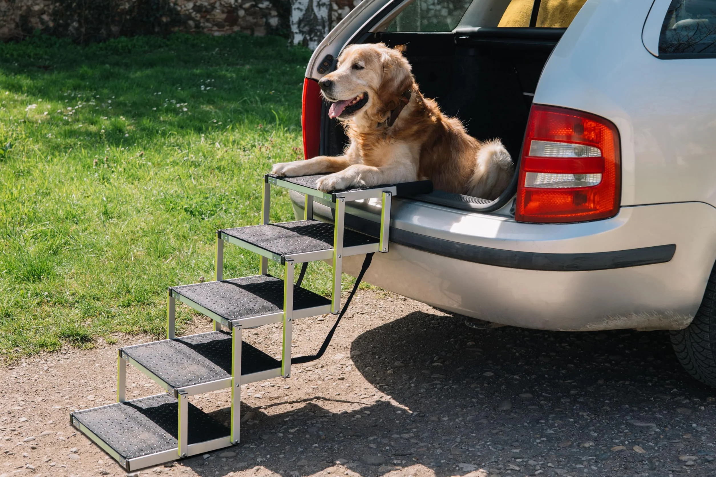 Rampa per Cani PRIORPET Pieghevole Fino a 77 KG Antiscivolo Riflettente 5 Gradini
