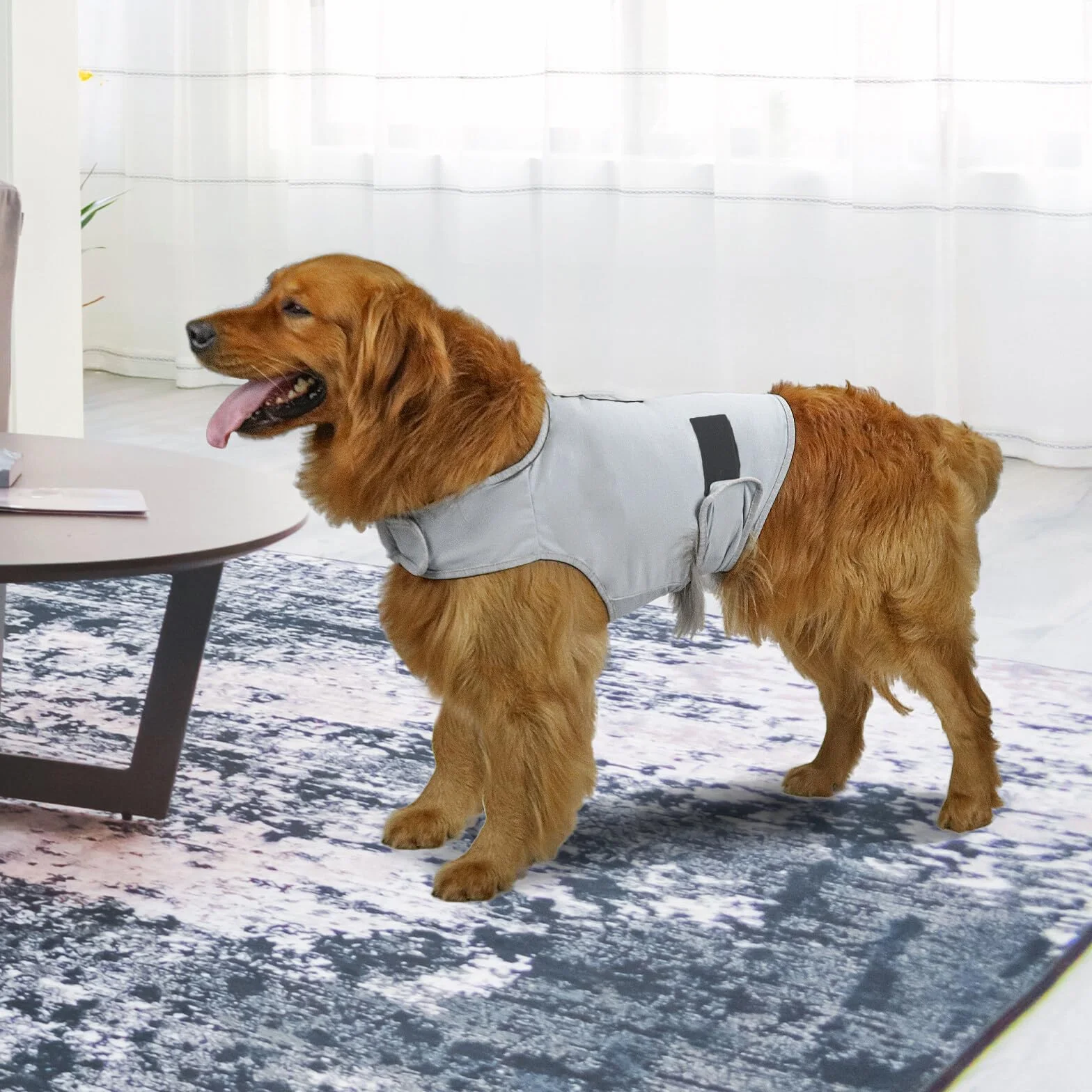 Giacca calmante per cani ansiosi cappotto antituono con striscia riflettente