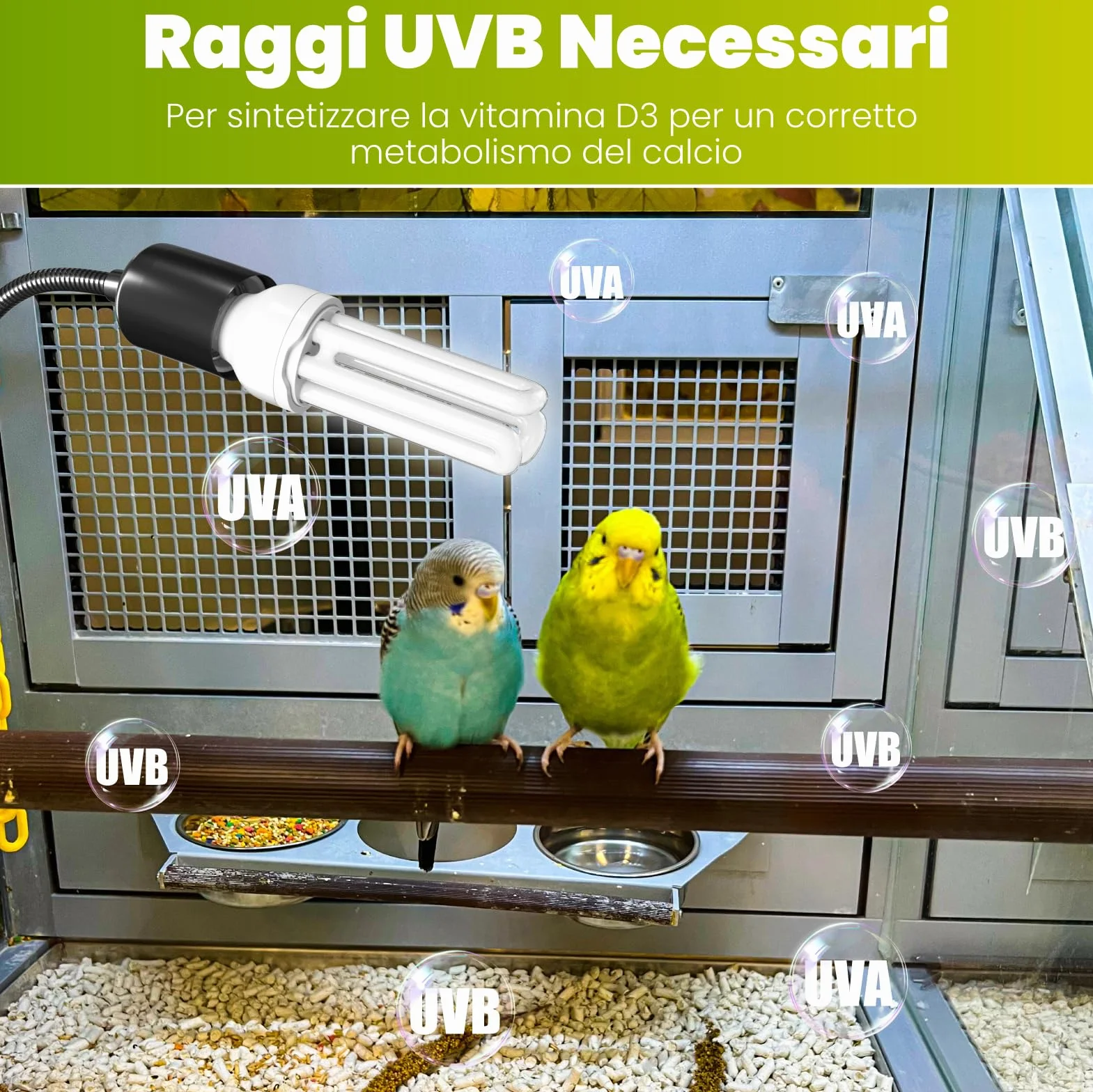 Lampada per uccelli UVB 2.4 E27 20W a morsetto GlowUp set completo