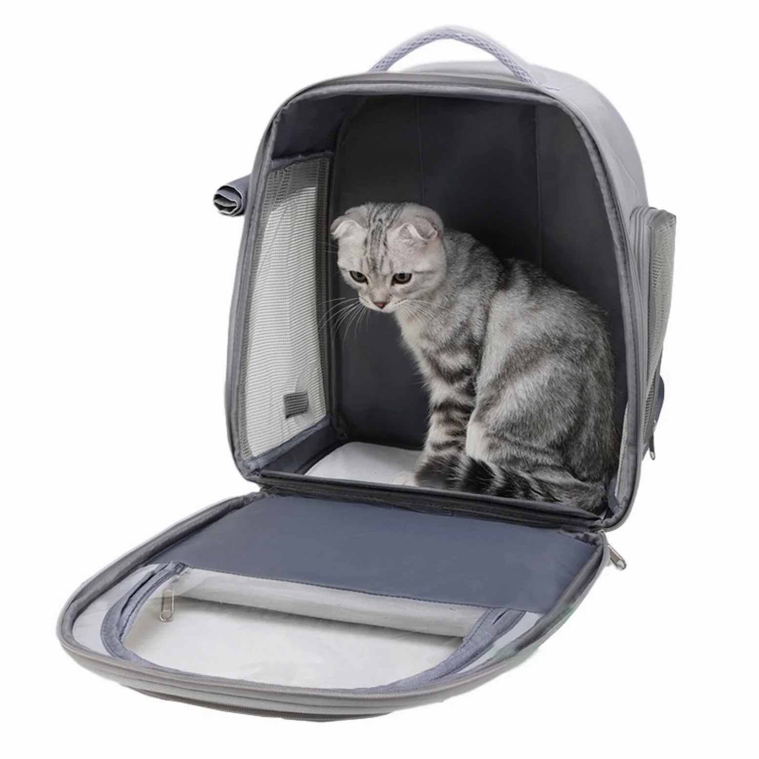 Trasportini per animali con zaino a bolle, Borsa per zaino per gatti Comodo | Bolla Trasportino per cani di piccola taglia Zaino da viaggi
