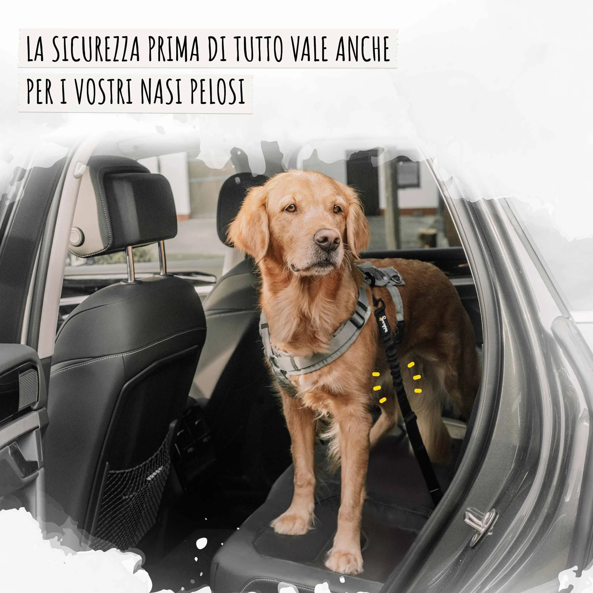 Rudelkönig Cintura di Sicurezza Cani Auto Elastica Regolabile Compatibile Tutti i Tipi di Auto