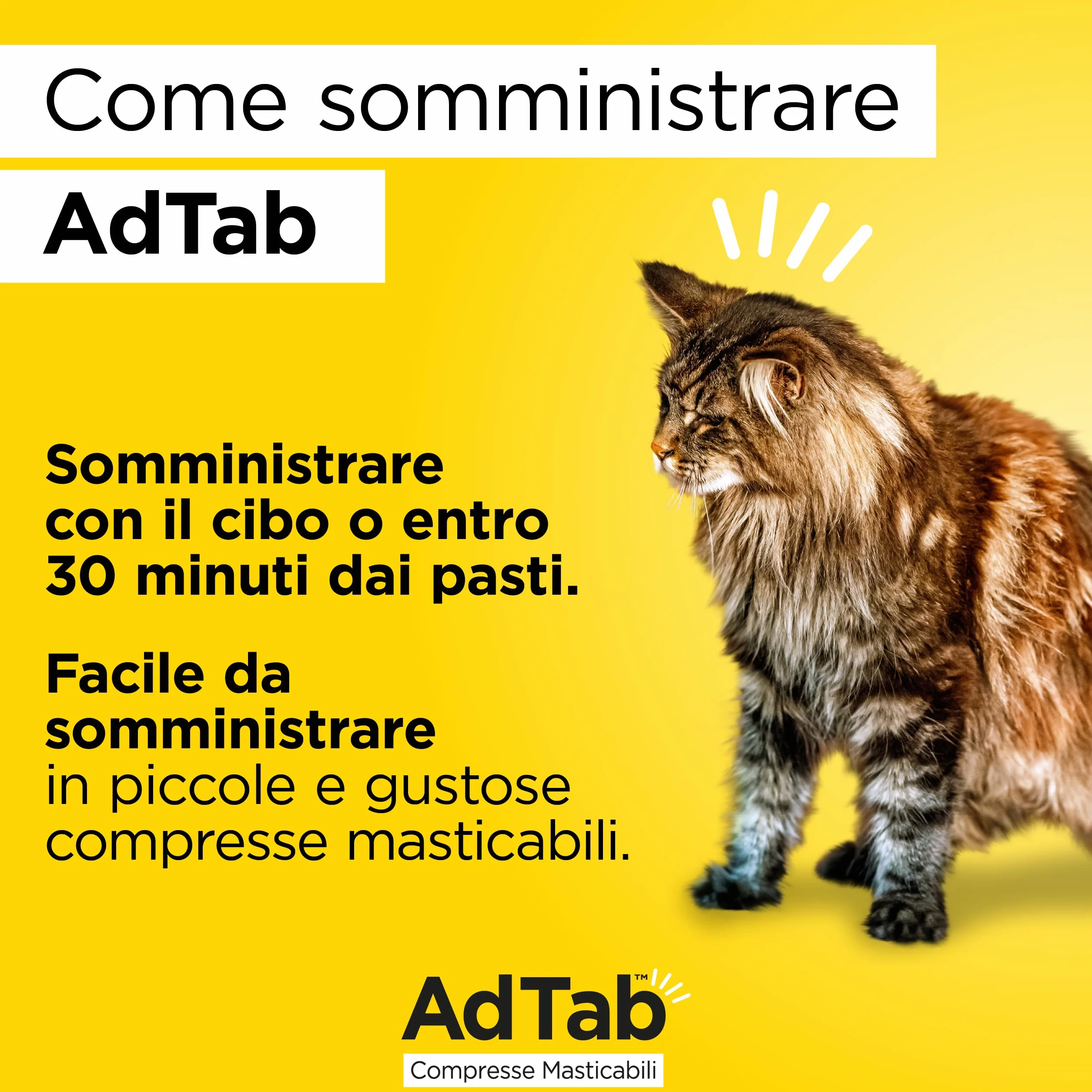 AdTab Compresse Masticabili per gatti 2,0-8,0 Kg - 3 compresse