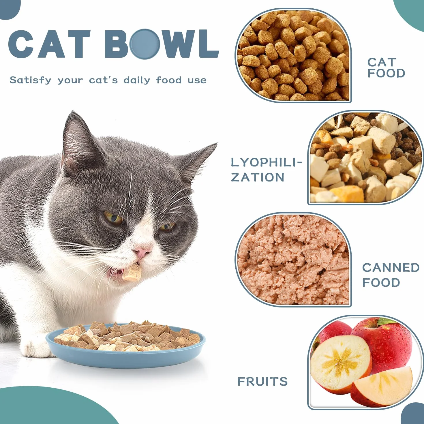 GMMG Ciotole per Gatti Ciotole Piatte per Gatti Poco Profonde Adatto a Gatti e Cuccioli (8 Pezzi)