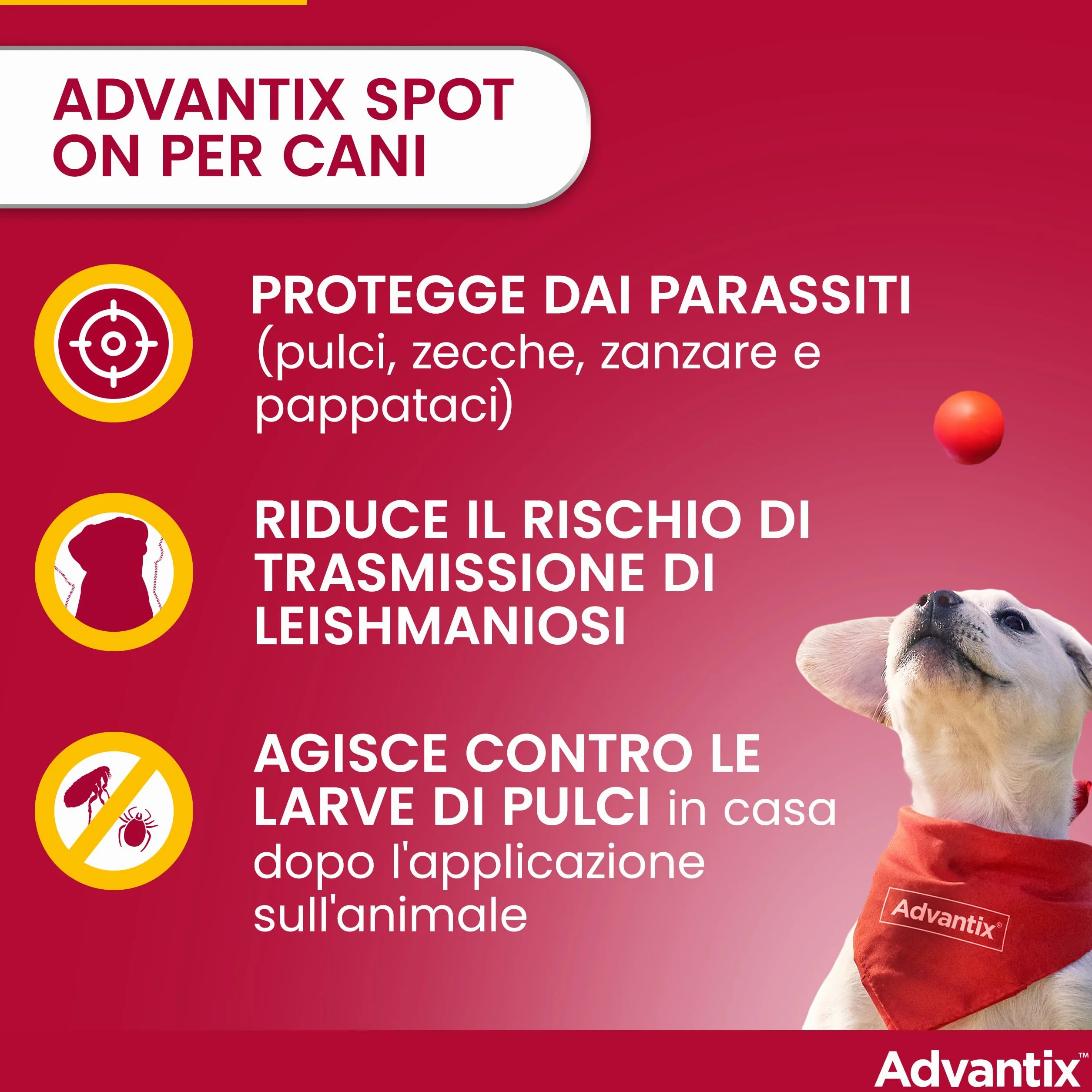 Advantix Spot-on Antiparassitario per Cani 10-25 kg, 4 Pipette 2.5 ml, Elimina Zecche Pulci e Larve