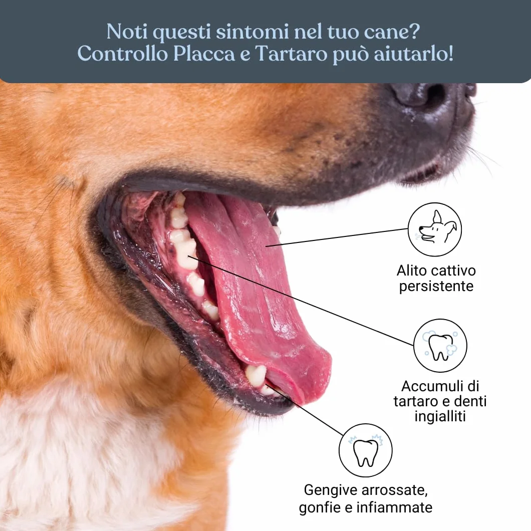 Bau Controllo Placca e Tartaro Cane in Polvere con Alga Ascophyllum Nodosum, Propoli e Menta, Mangime Complementare per Igiene Orale Senza Spazzolino, Alito Fresco e Gengive Sane del Cane