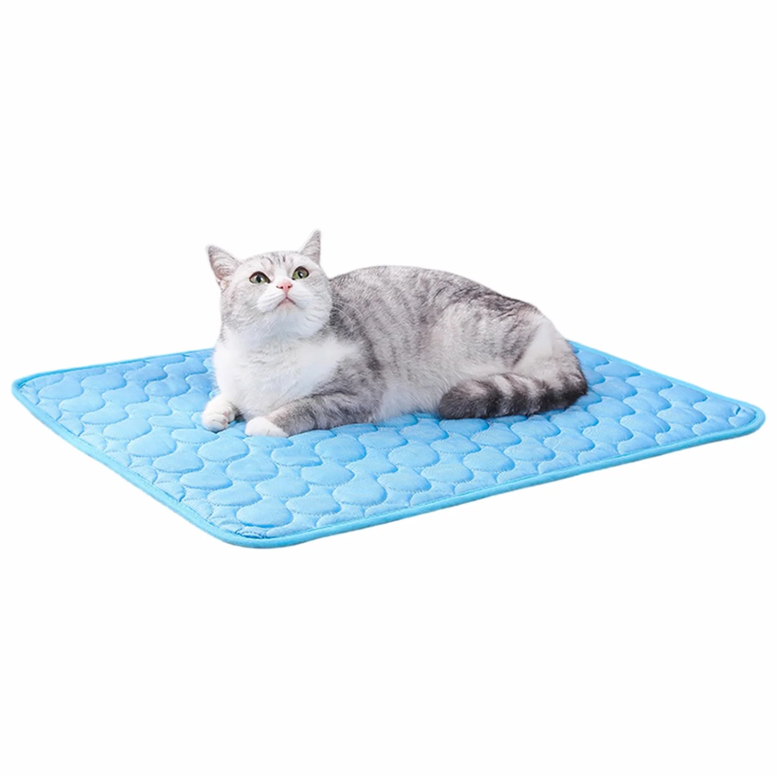 Tappetino Refrigerante Rinfrescante Per Cane Gatto Animali, 30*40cm Seta Di Ghiaccio Tappetino Refrigerante Per Cani, Adatto A Gabbie, Dissipazione Del Calore, Portatile, Cucce E Letti Per Cani