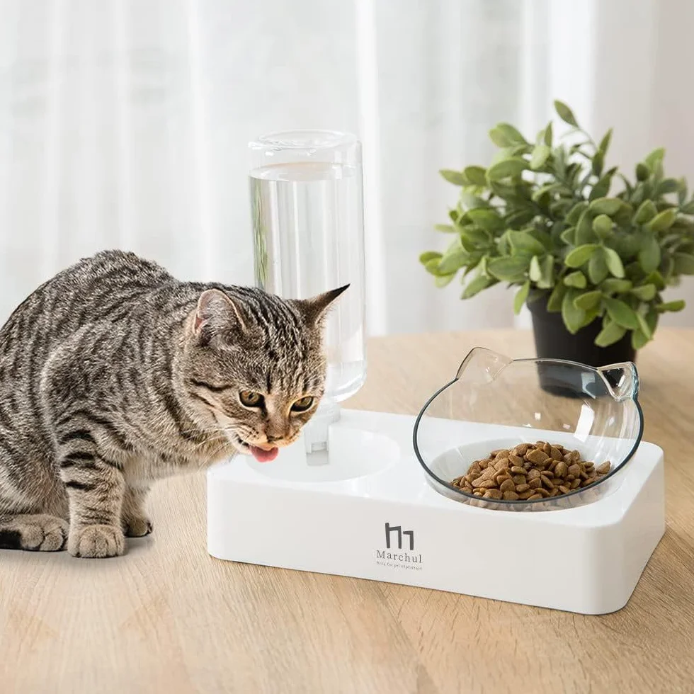 Marchul Ciotole per Gatti con Tappetino, per cibo, con Distributore Automatico di Acqua, Rialzate, 15° Inclinate, Doppio, per Cuccioli