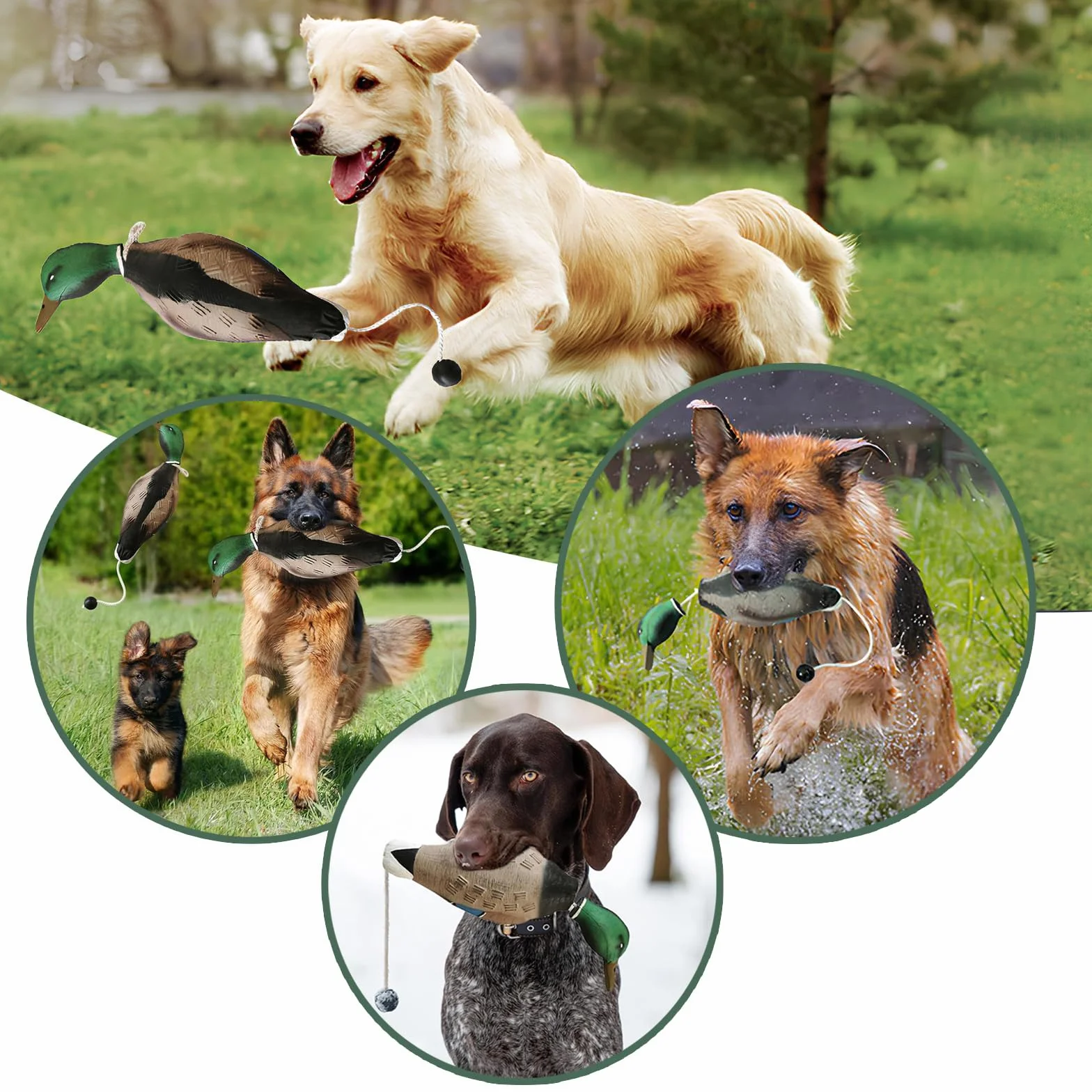 Anatra Giocattolo per Addestramento Cani, Dummy per Cani, Giocattolo Accessori per Cane da Caccia, Accessori per Cani da Caccia per L'addestramento delle Abilità dei Cani da Caccia Retriever