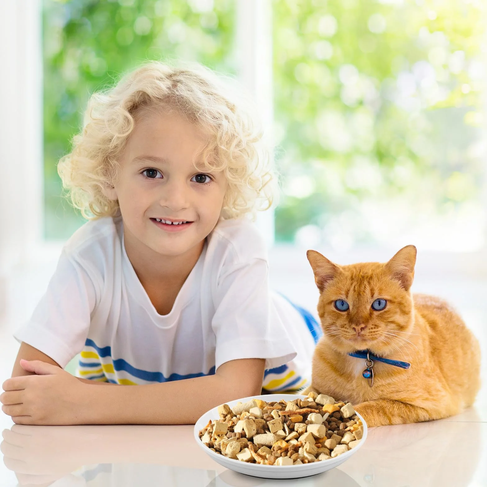 Ciotole per Gatti, 6 Pezzi Ciotola per Gatto Ceramica con Base in Gomma Antiscivolo,Ciotole Piatte per Gattini Cuccioli E Piccoli Animali