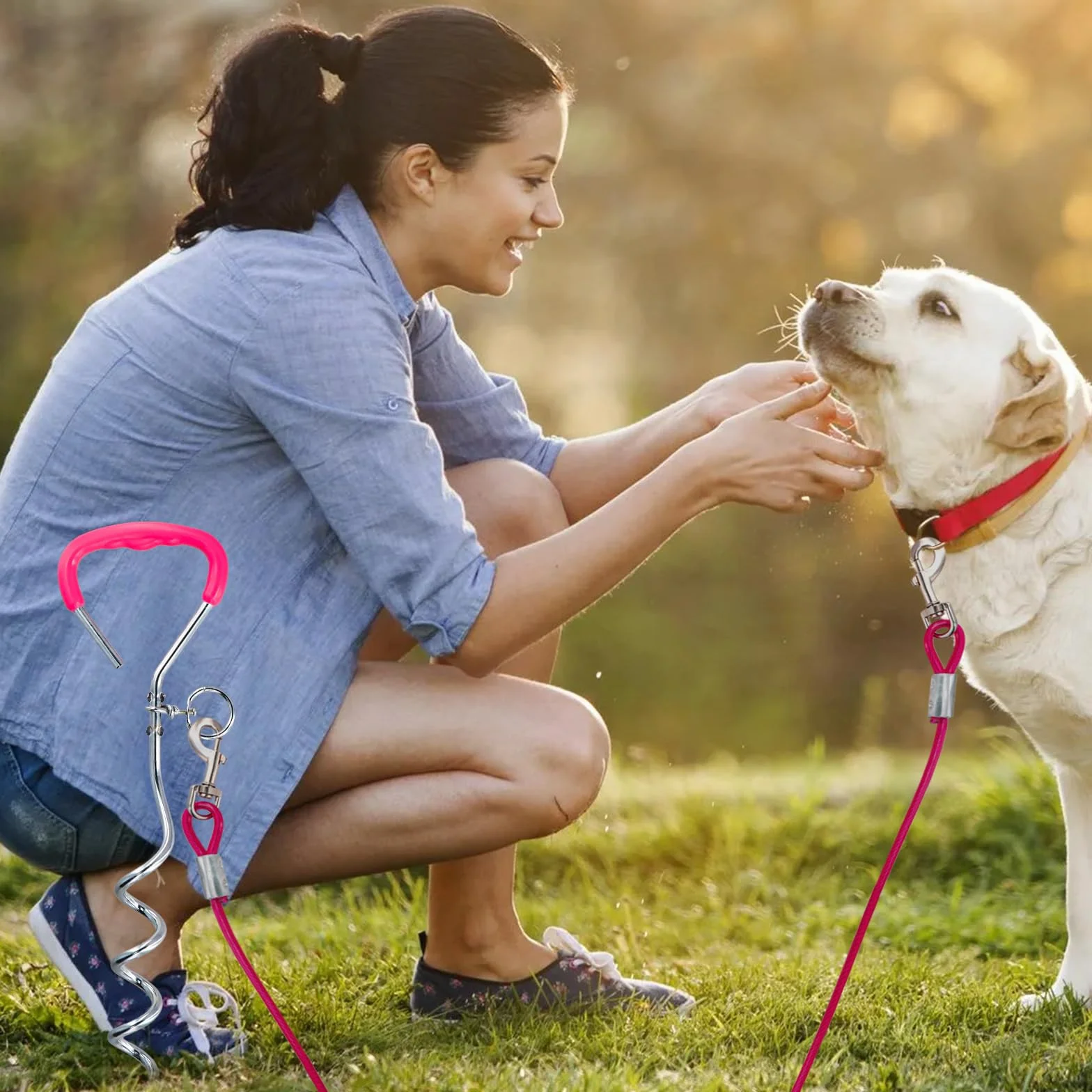 5 m Guinzaglio per Cani con 42 cm Picchetto a Terra, Cavo Acciaio Inossidabile 6mm con Gancio 360°, Fino a 250 kg, PVC Coated, Cavo Legare per Cane Grande Media Piccola Campeggio Giardino (5m Rosa)