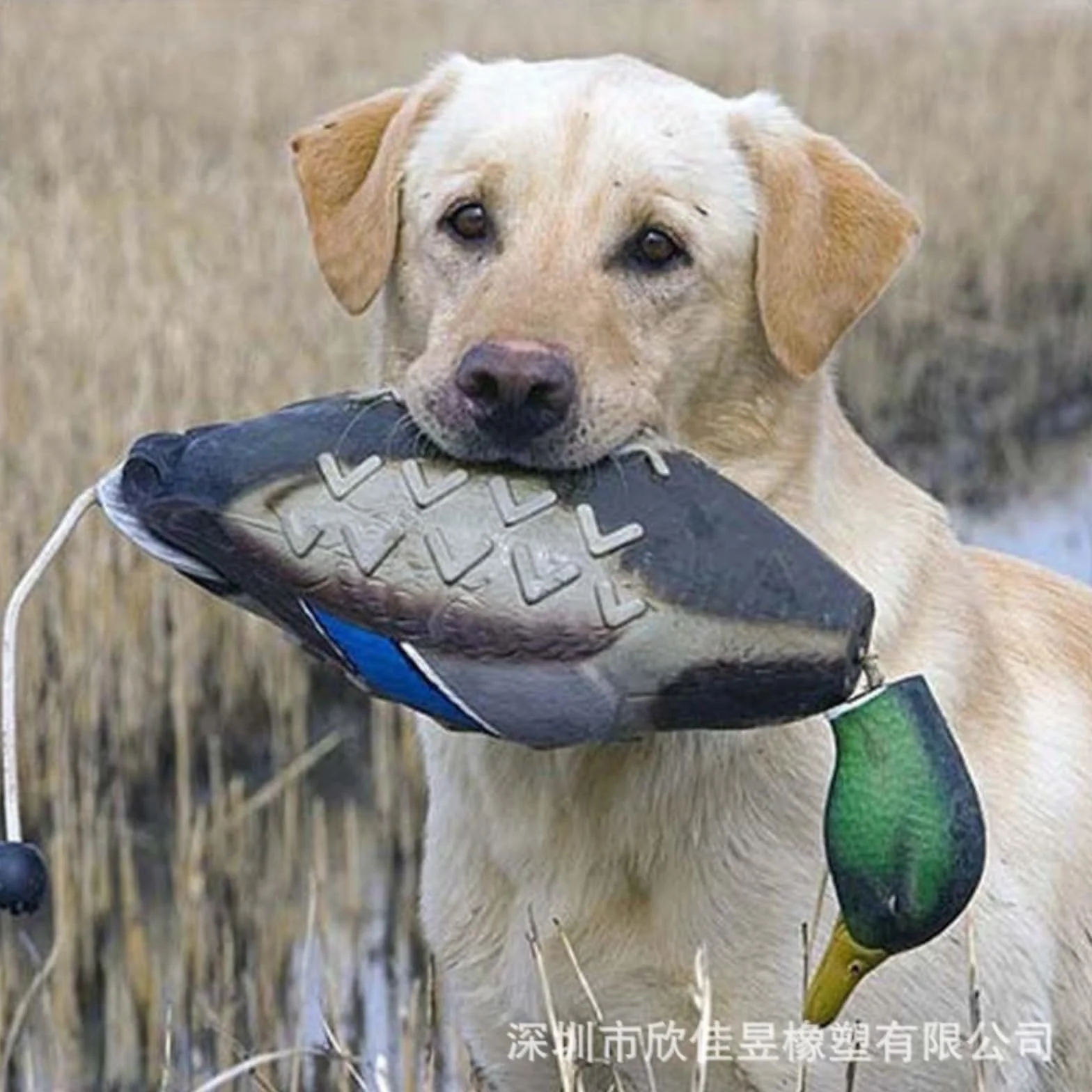 Galleggiante, Lancio a Lungo Raggio, Gioco Classico per Il Riporto, addestramento Cuccioli e da Caccia. Dummy Pistola per addestramento Cani con levetta per lanciare Il Cane, per addestramento