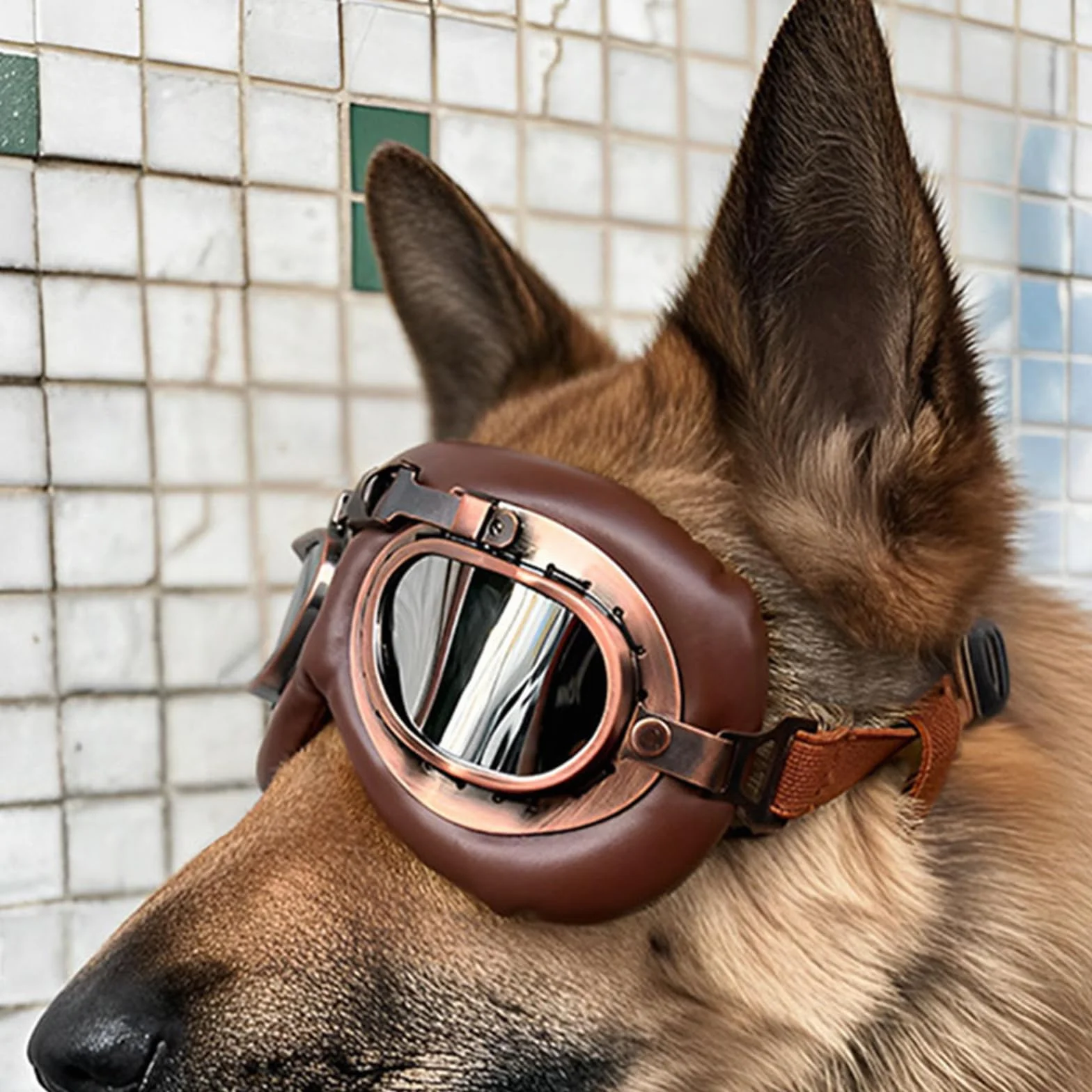 1 Pezzi Occhiali per Cani, Retrò Occhiali Cane, Protezione UV Occhiali da Sole Cane, Antivento Occhiali da Sole per Cani di Taglia Media o Grande Attività all'Aperto, Guida, Marrone