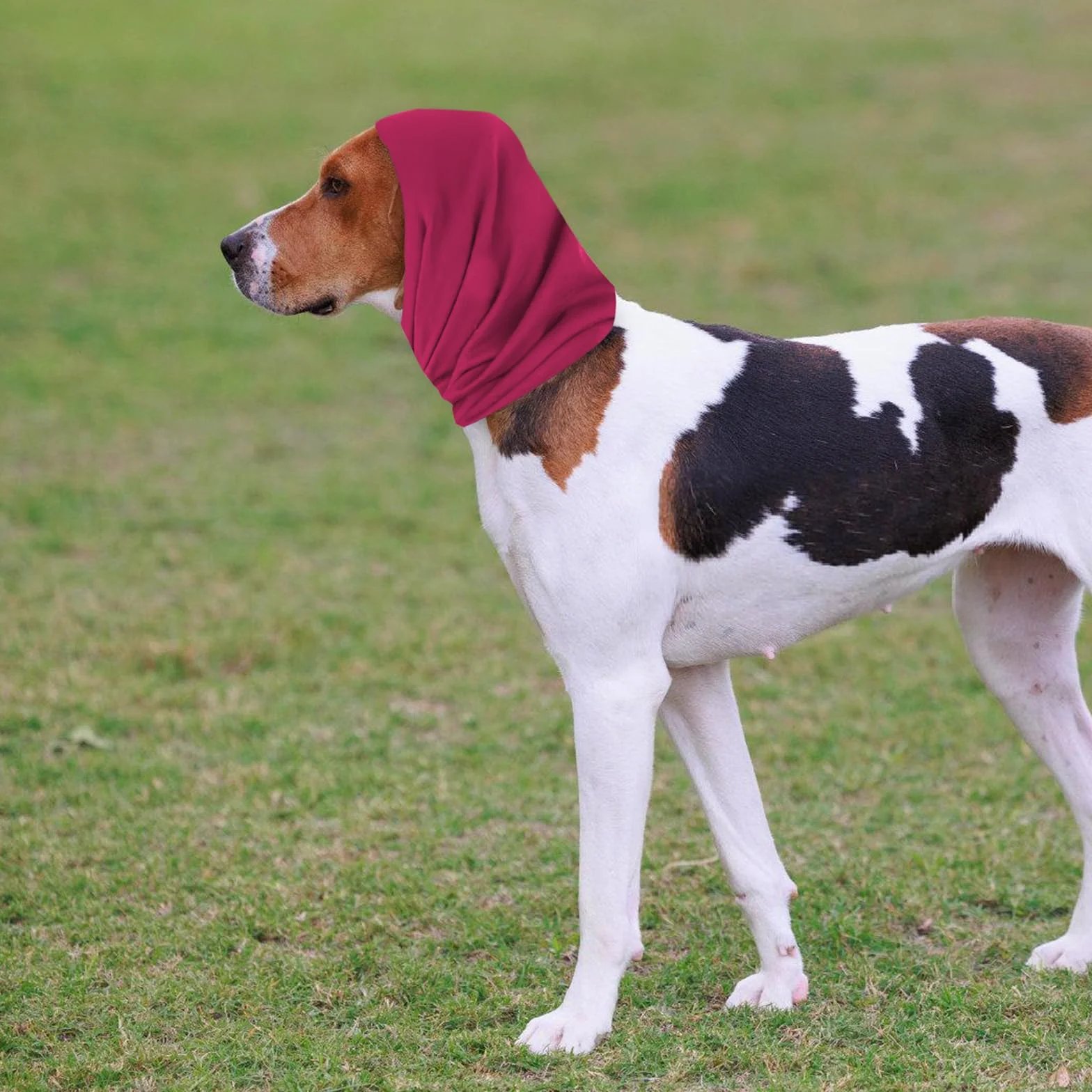 Scaldacollo e Orecchie per Cani Cappuccio Anti-Ansia Paraorecchie per Toelettatura Bagni Felpa L Rosso