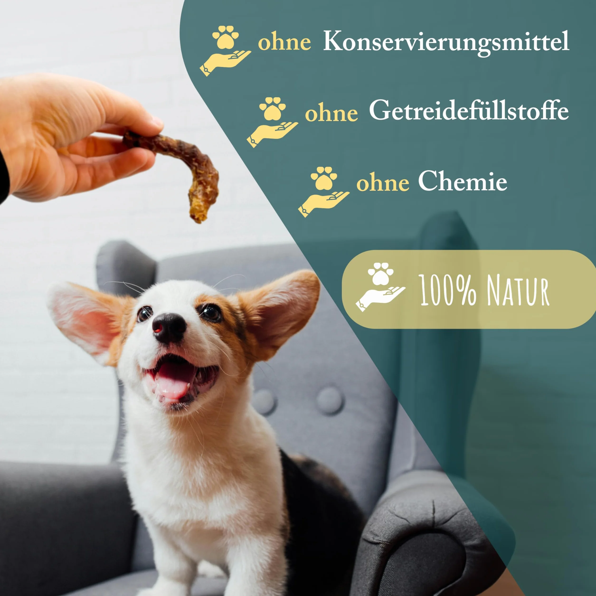 Colli di pollo per cani, 5 kg, naturali e di alta qualità, a basso contenuto di grassi e ricchi di proteine, articolo da masticare per la cura dei denti