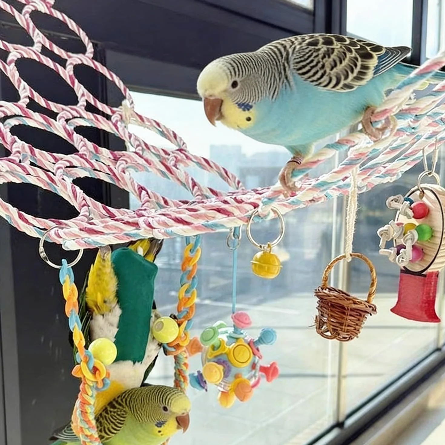 Rete da Arrampicata per Piccoli Animali, Giocattolo per Gabbie di Uccelli, Roditori e Rettili, 2 Pezzi