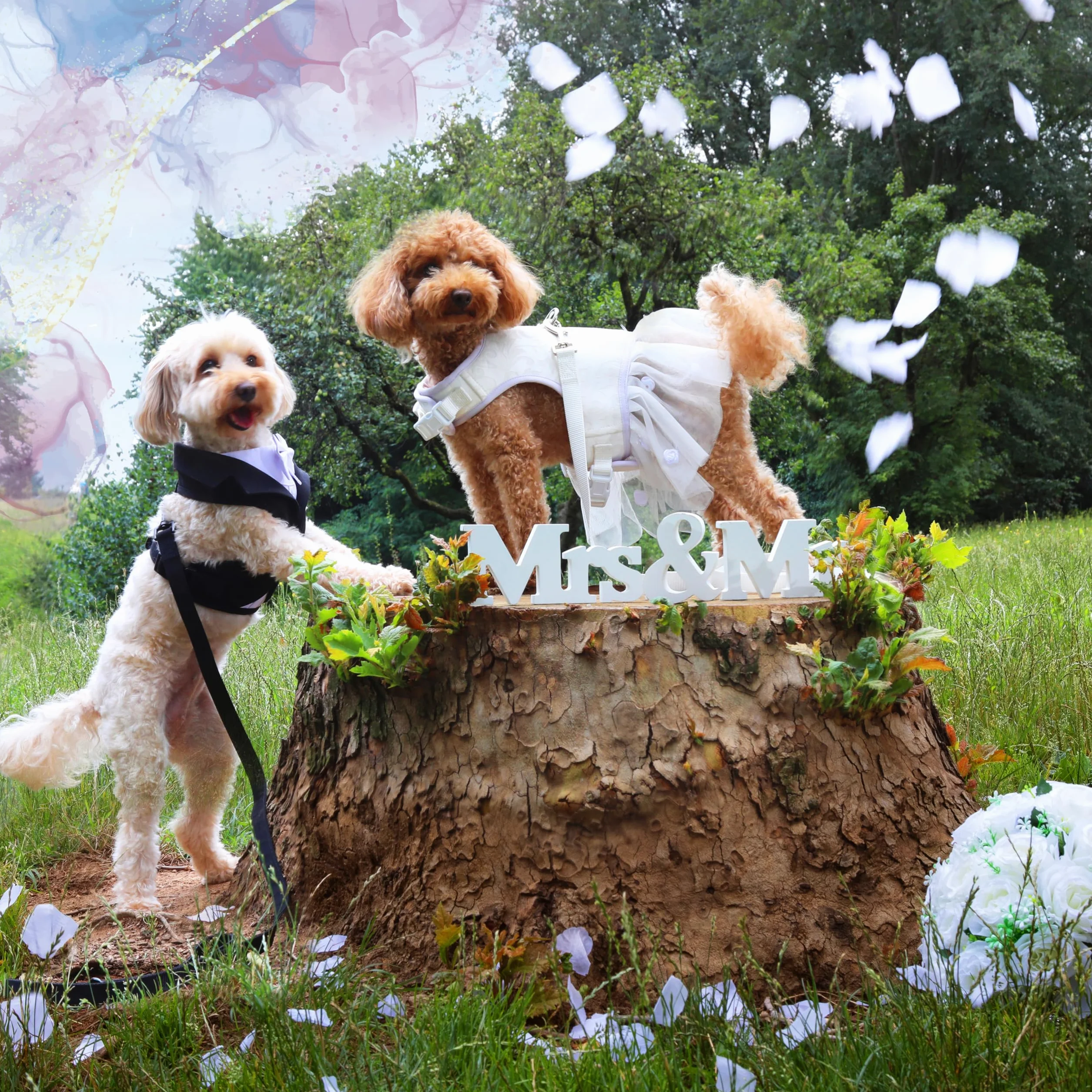 Croci Ceremony Bride - Pettorina per cane femmina, Per Matrimoni, Vestito per cani con Gonna in Tulle, Fantasia Damascata, Regolabile, L/46-53 cm