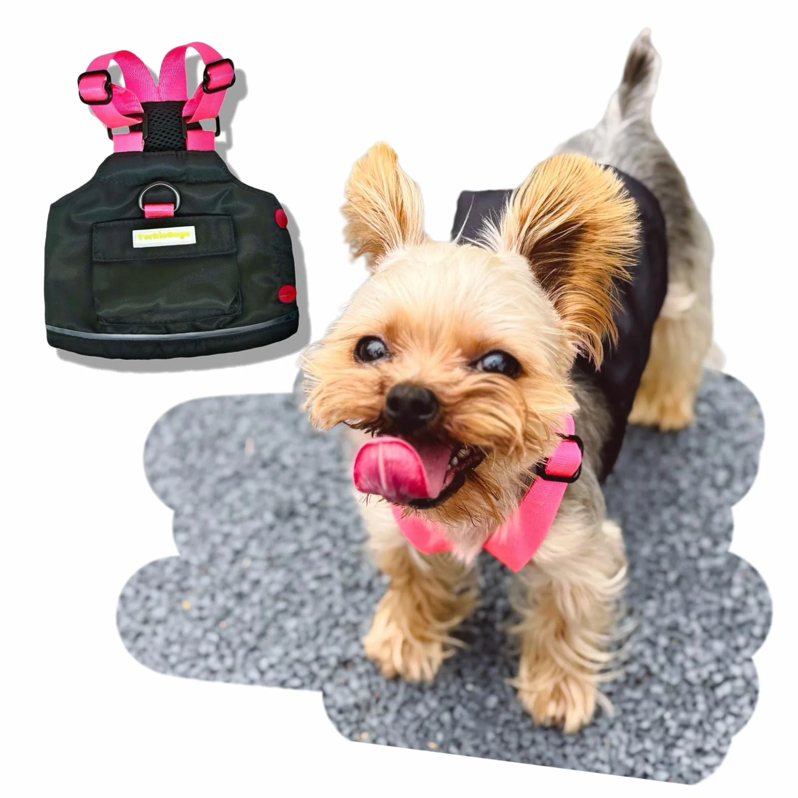 Little Explorer Giubbino per Animali - Completo Esterno ad Alta Visibilità con Zaino Staccabile per Cani di Piccola Taglia/Tazza da Tè, Gatti, Animali Piccoli & Mostri (XXS, Nero)