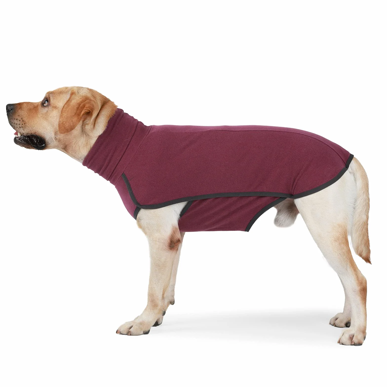 Felpa per cani Gilet in pile elasticizzato Pullover caldi taglia piccola media Abbigliamento invernale per interni ed esterni