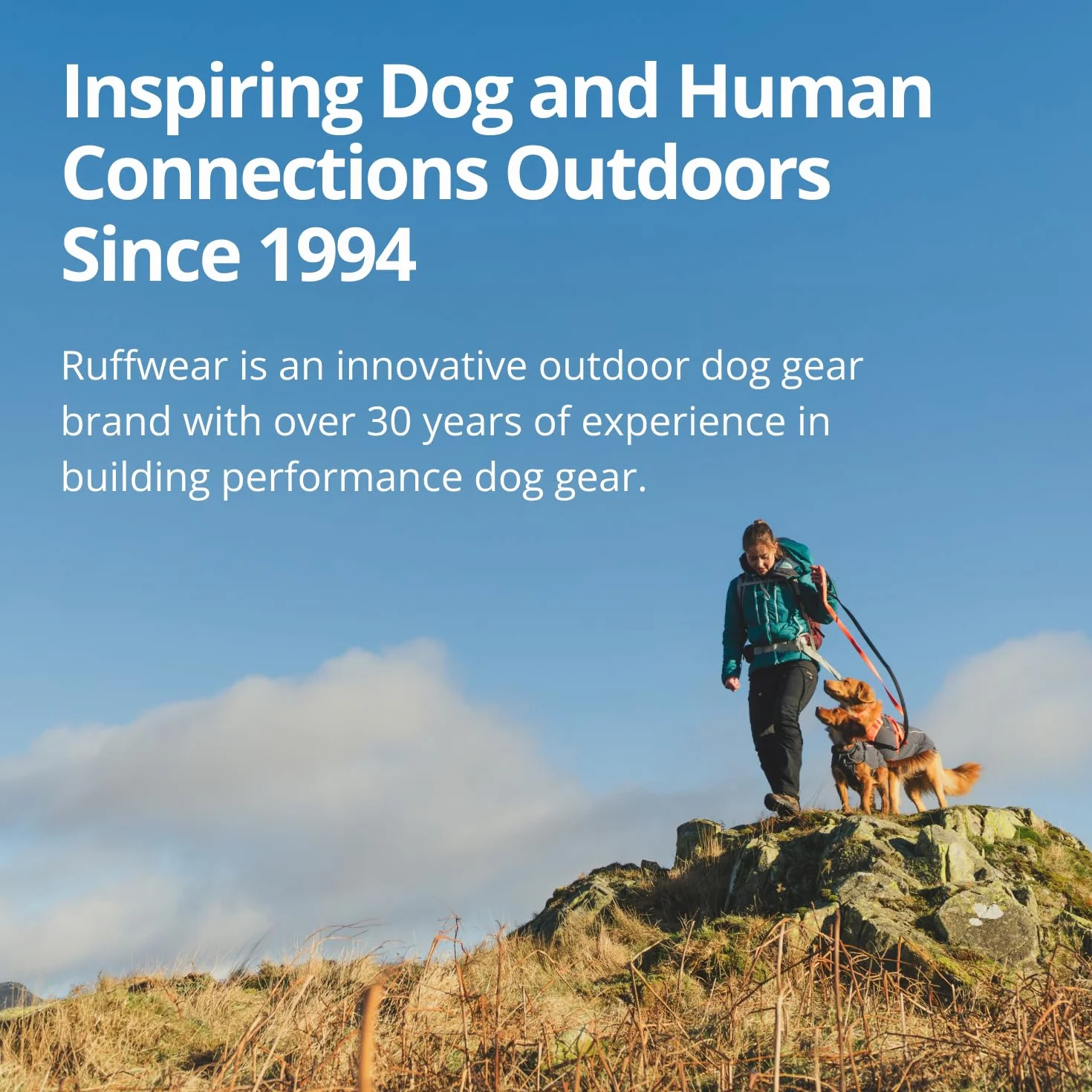 Ruffwear, Treat Trader - Sacca da allenamento con cintura regolabile, motivo orso marrone