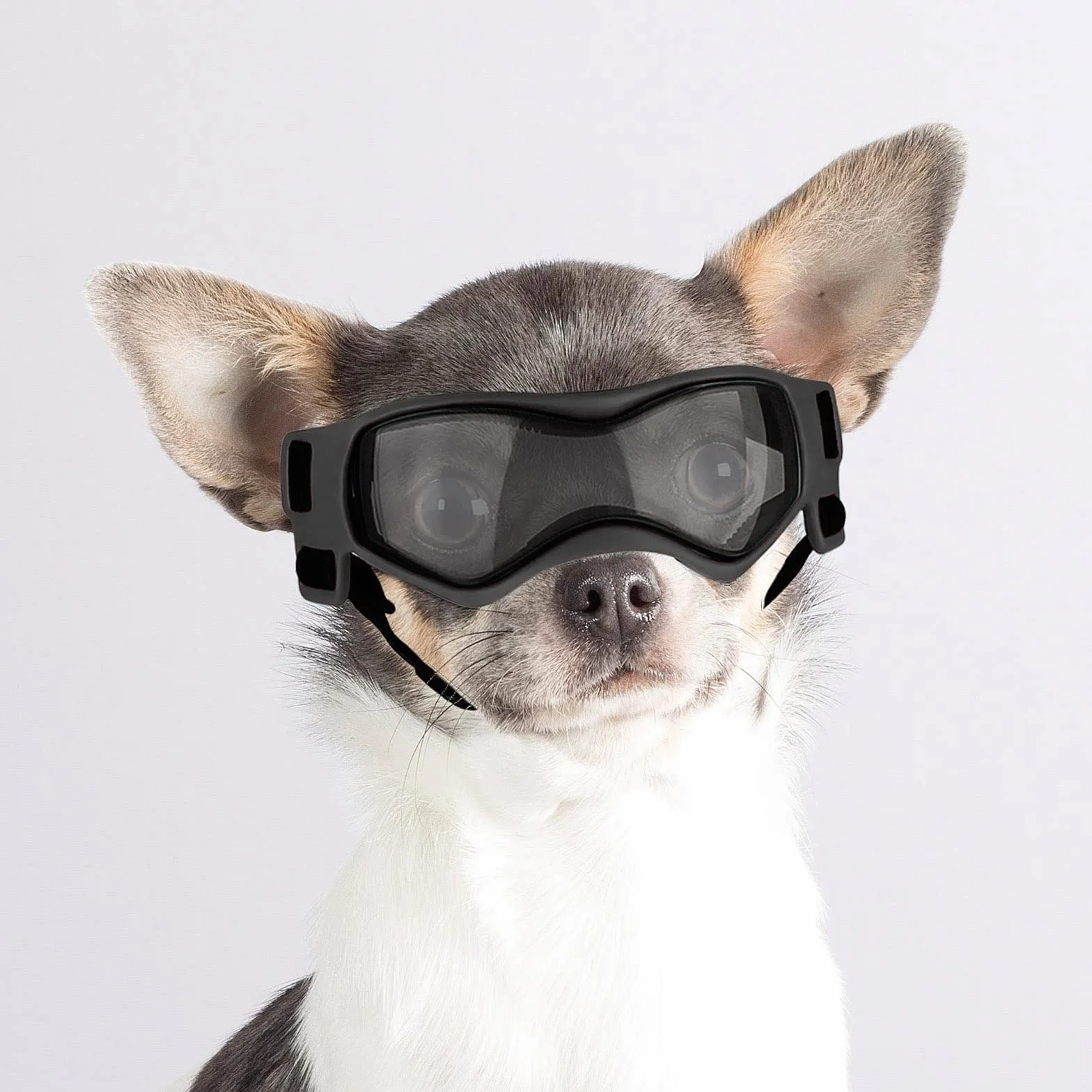Enjoying Occhiali per Cani Taglia Piccola, Occhiali da Sole per Cucciolo Moto, Gatti Adulti Occhiali Cane, Protezione UV, Regolabile, Cool Nero