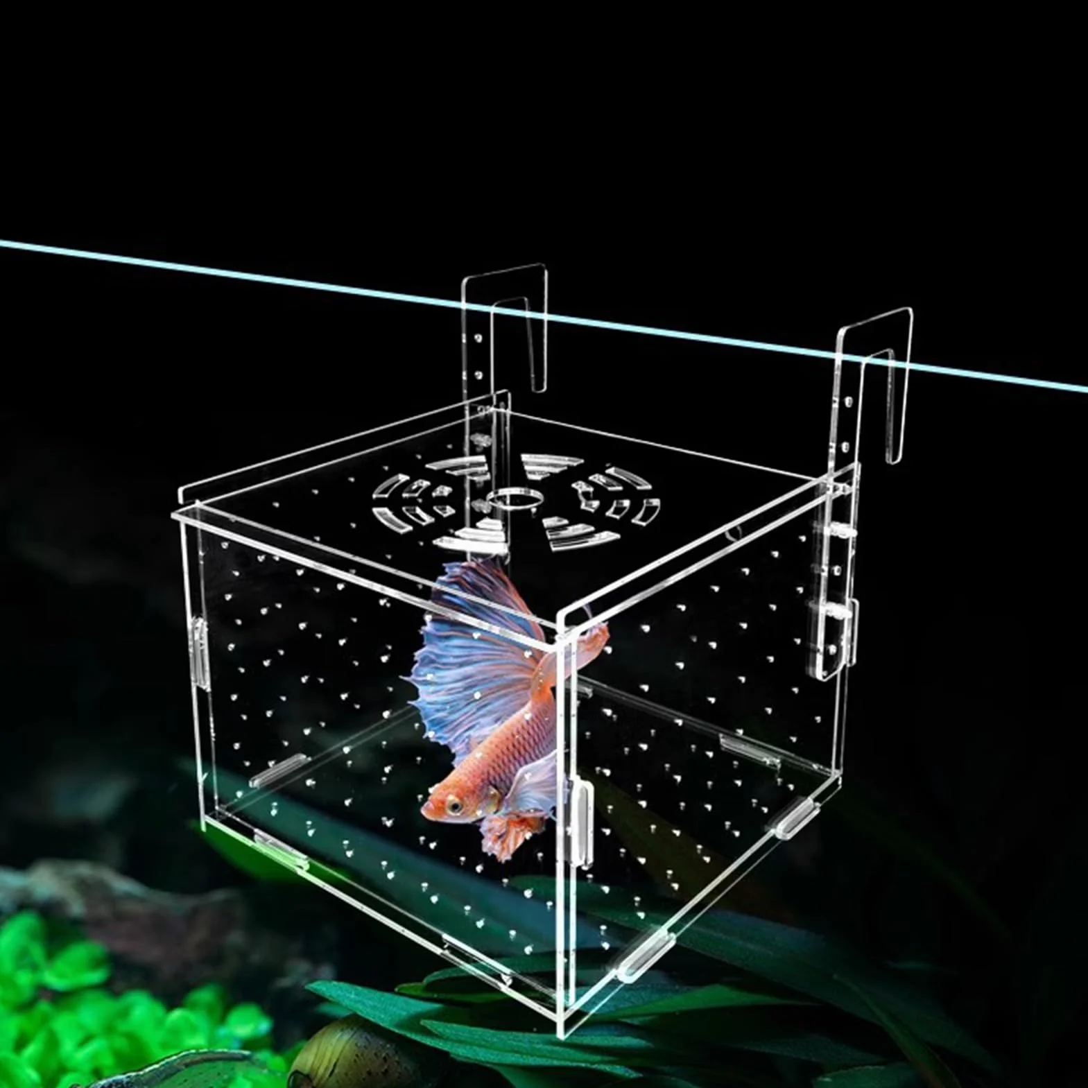 Scatola Di Isolamento Per Acquario - Scatola Per Allevamento In Acrilico, Divisorio Per Vivaio A, Contenitori Per Acclimatazione Di Uova Di Pesce 10x10x10 Cm, Contenitori Per Allevamento Di Ga