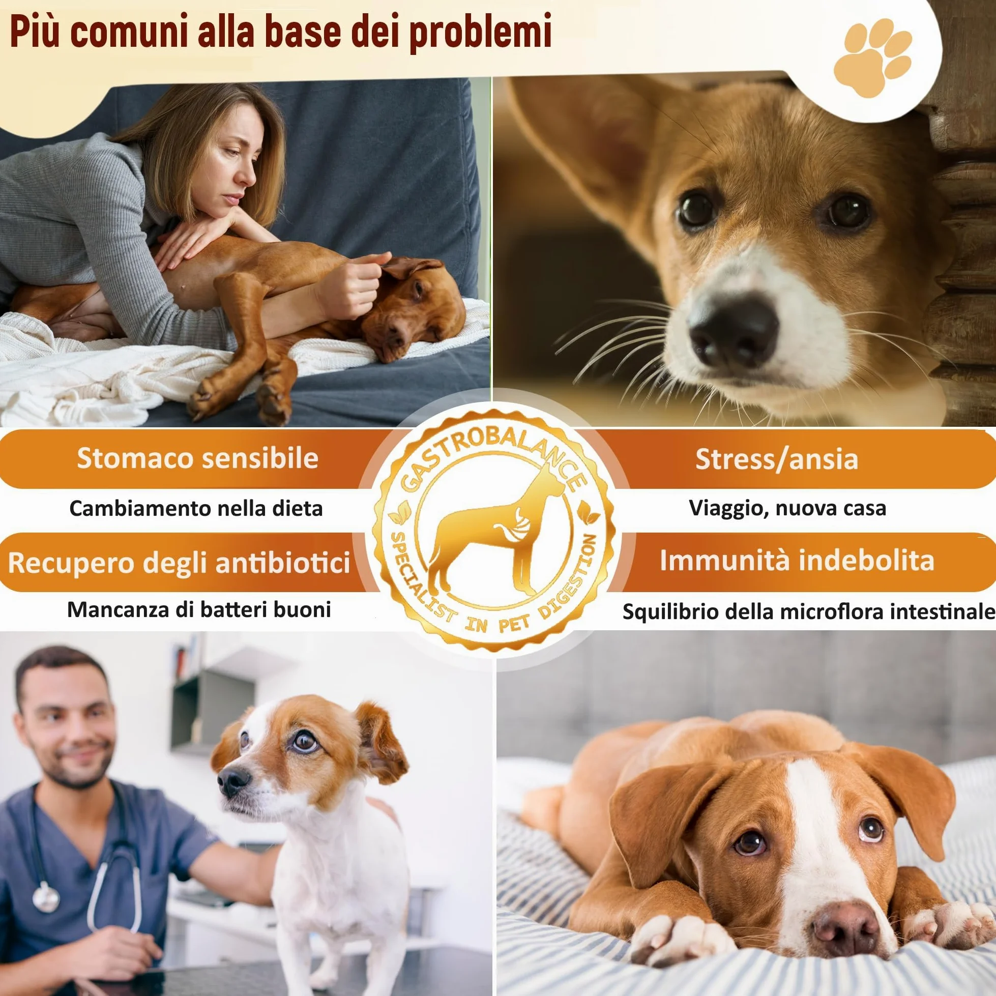 cani probiotici – 60 bocconcini masticabili naturali prebiotici e probiotici per cane - Sapore di Pollo
