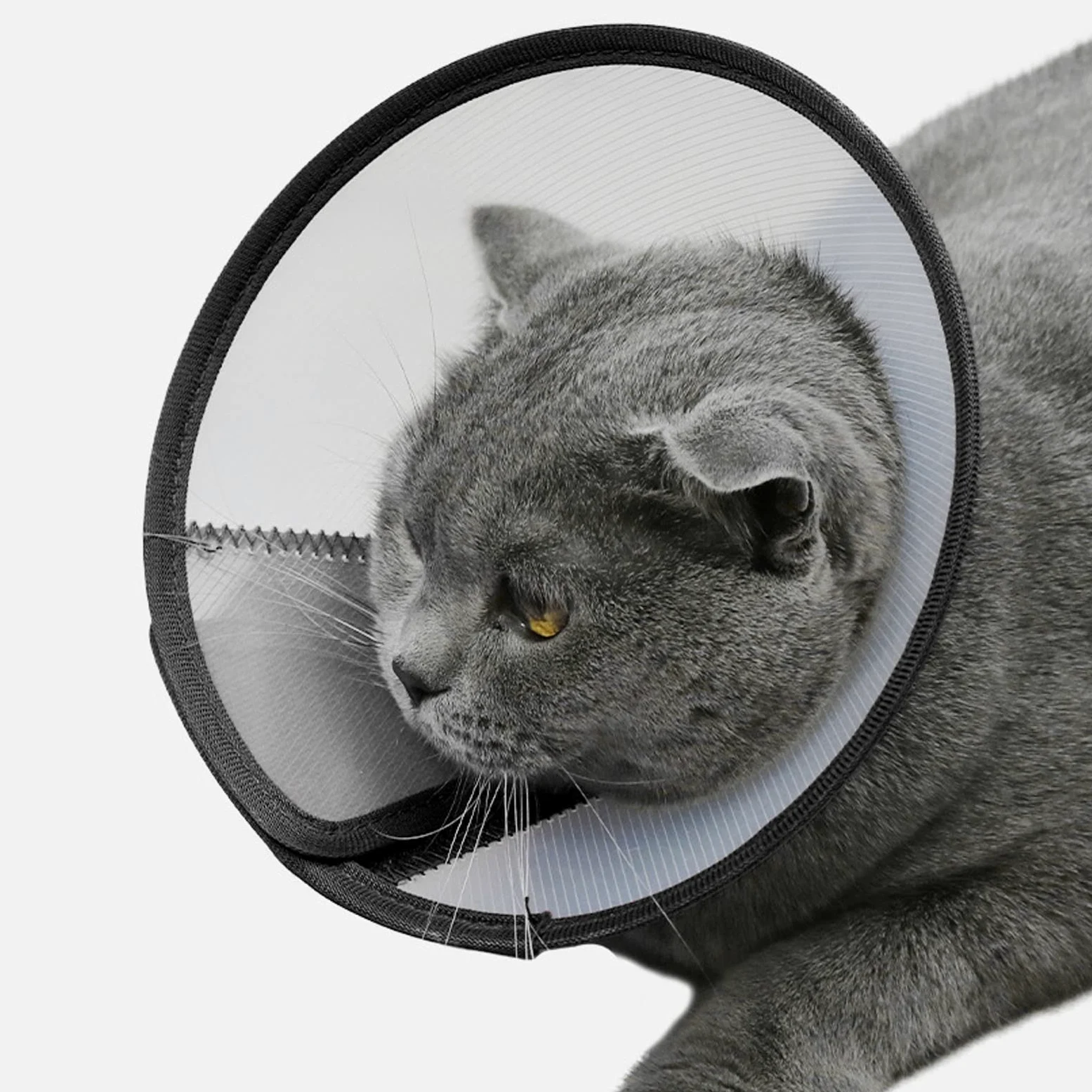 Collare di Recupero Protettivo Regolabile Cono in Plastica per Animali Domestici, Design Confortevole e Traslucido, 1 unità (4#)