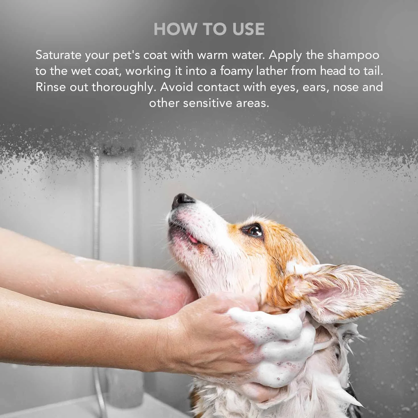 WAHL Oatmeal Essence Dog Shampoo - 5 litri, concentrato 15:1, formula naturale, vegano, per pelli e manti sensibili