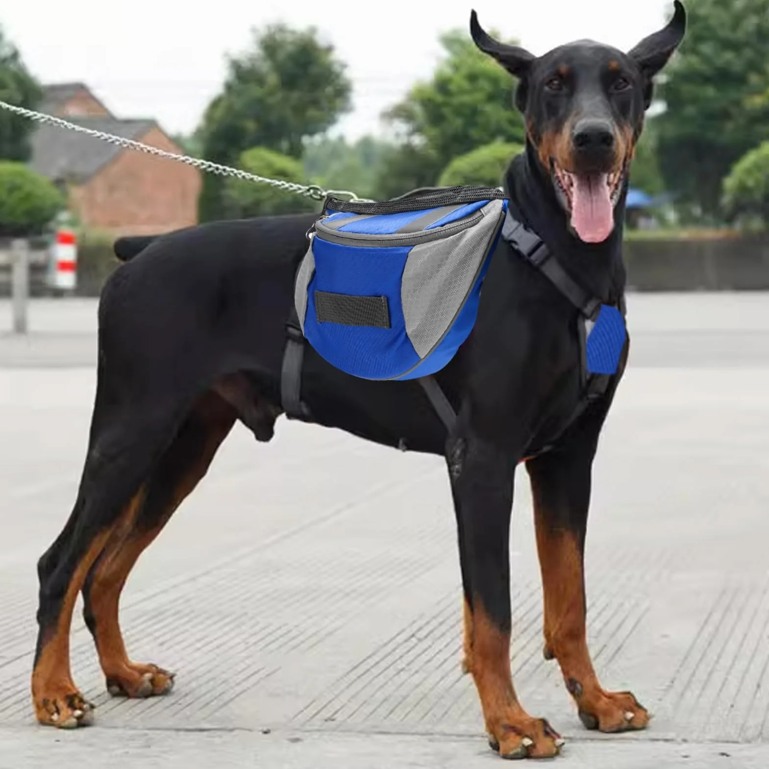 Cyrank Cablatura dello Zaino per Cani, Borsa da Sella per Cani Medio E Grande Giubbotto per Cani Cani da Barbon Cablaggio Zaino per Escursioni per Cani con Tasche per Cane Grande Medio (M)