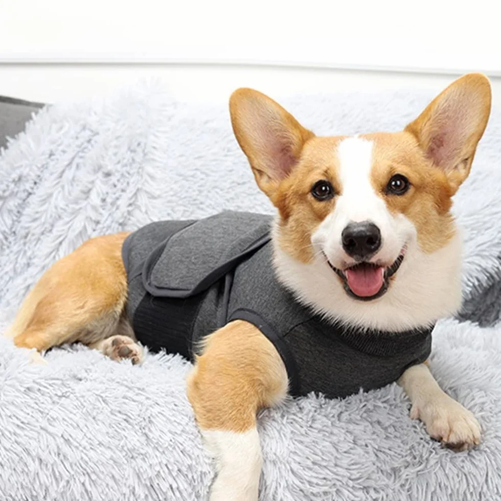 DONGKER Cappotto per Cani Anti-Ansia Giacca Calmante Traspirante Gilet Antistress per Animali Piccola Media