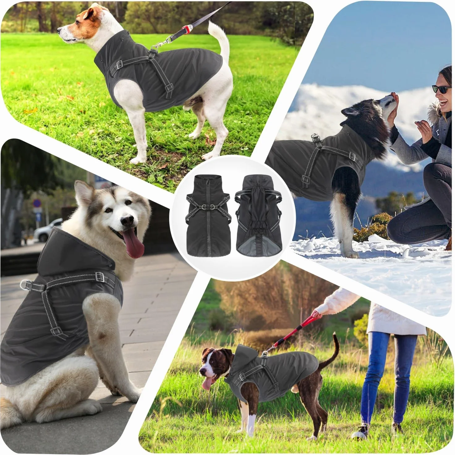 Impermeabile per cani con cappuccio taglia piccola media grande