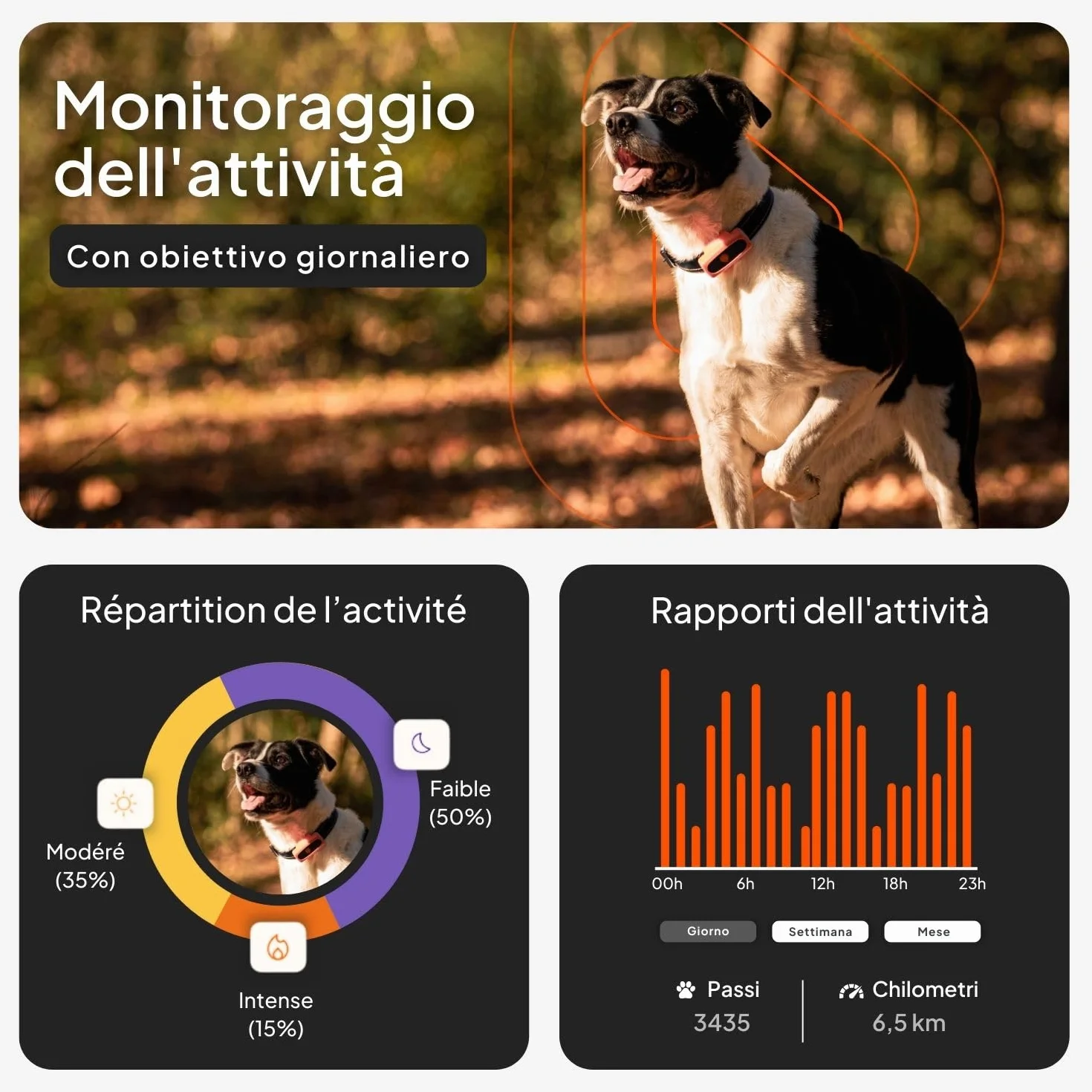 Weenect Dog XS - Localizzatore GPS per cani | Mini localizzatore GPS in tempo reale | Impermeabile | Il più piccolo sul mercato | Funziona con abbonamento | Garanzia a vita