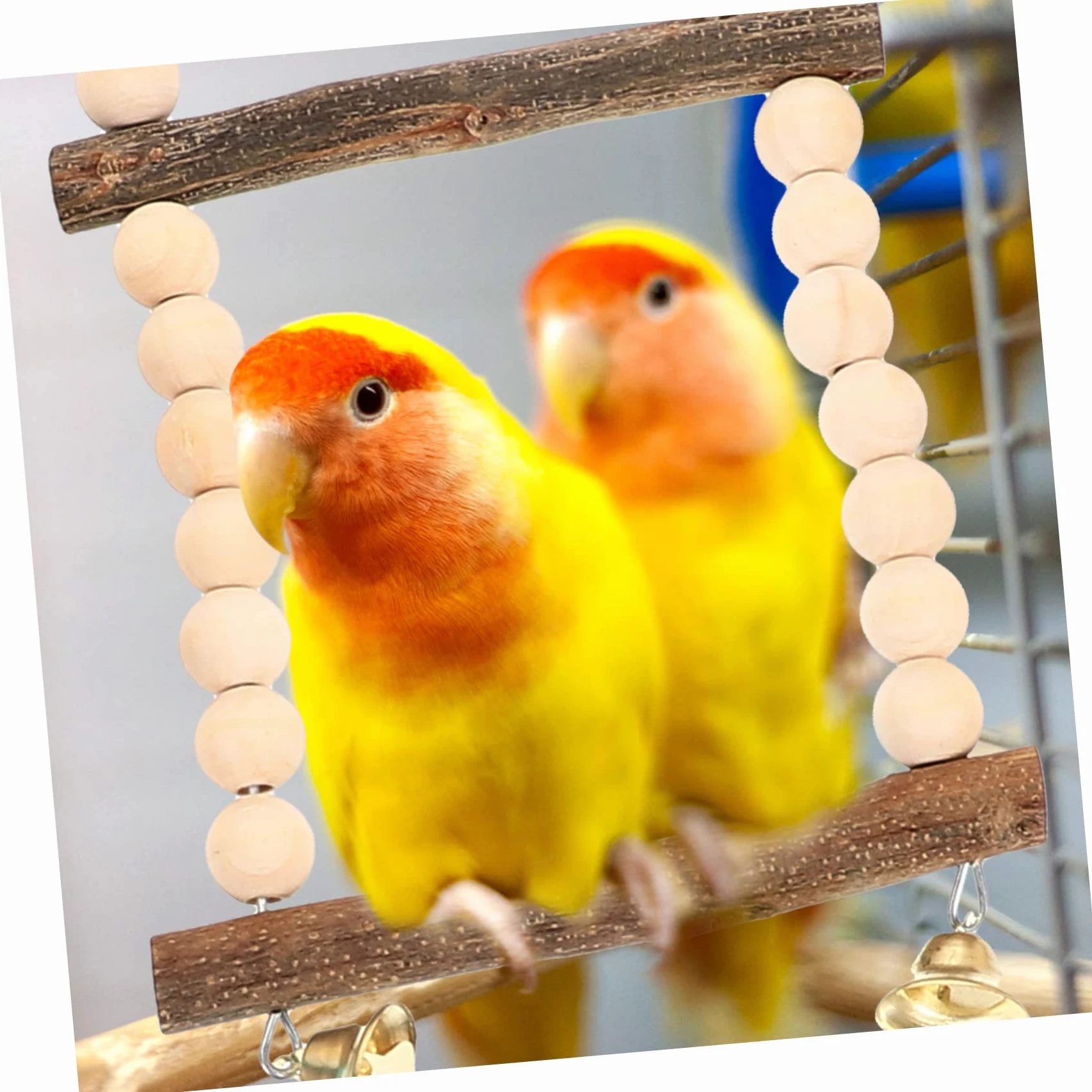 Giochi per Pappagalli da Appendere Resistente per Pappagalli e Calopsitte Giocattoli da Masticare e Altalena per Uccelli Adatto Tutte Specie Facile da Installare