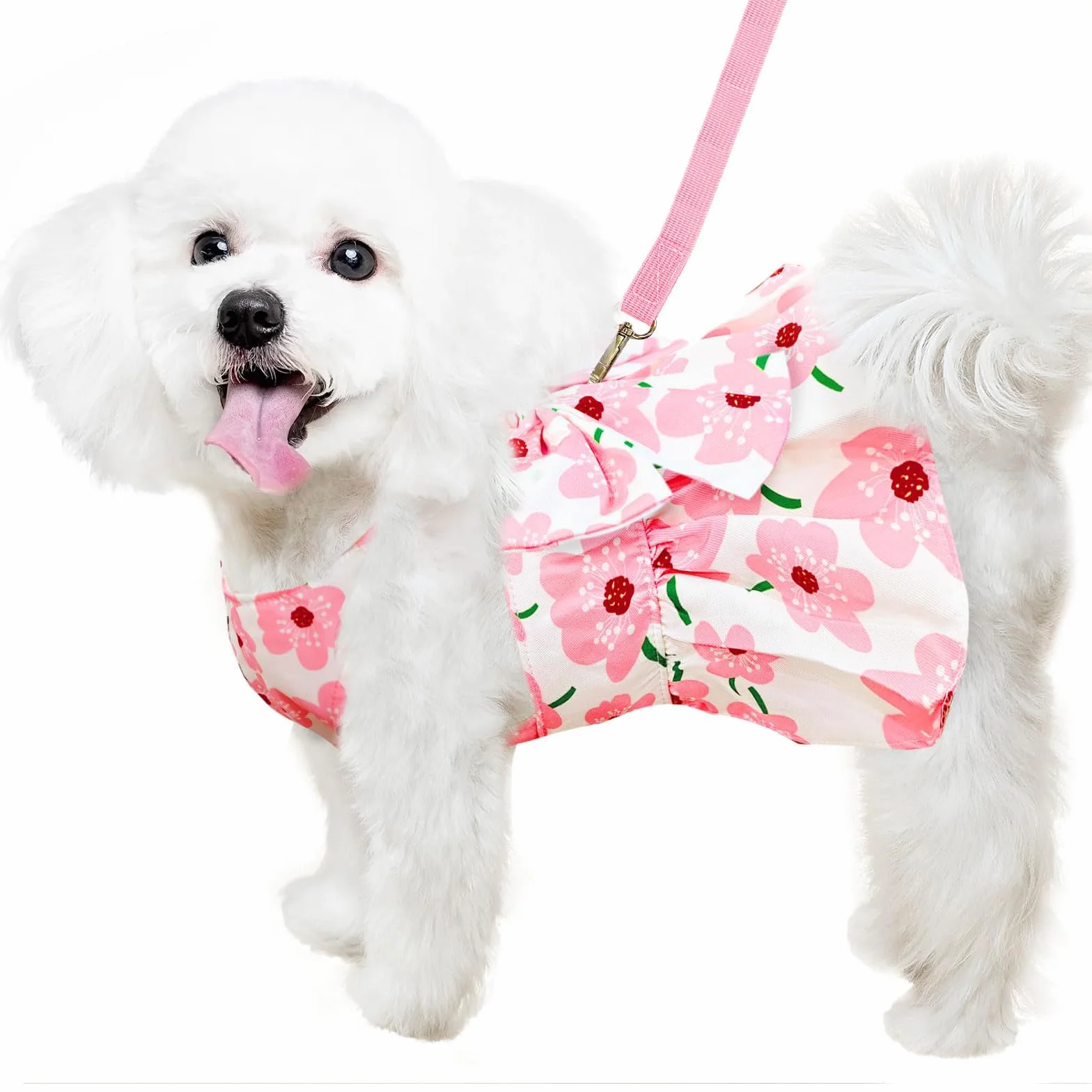 Vestito intero per Cani,Vestito per Cani con motivo a floreale,Abito per Cani,abbigliamento per animali domestici alla moda a pois, gonna plissettata,per gatti e cani di taglia piccola e media (M)