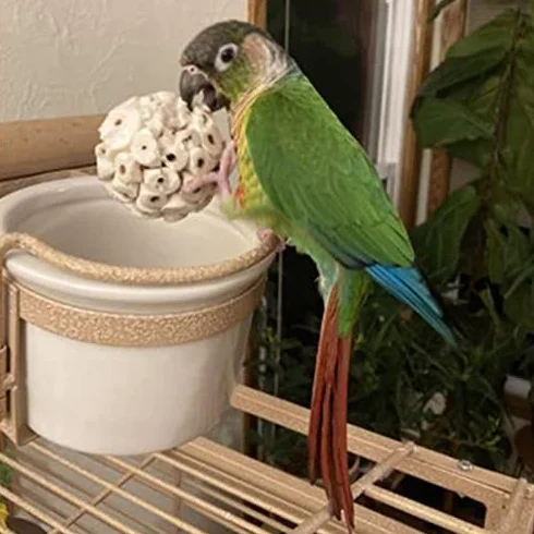 Bird Natural Sola Soft Chew Foraging Toy for Pappagalli 6cm