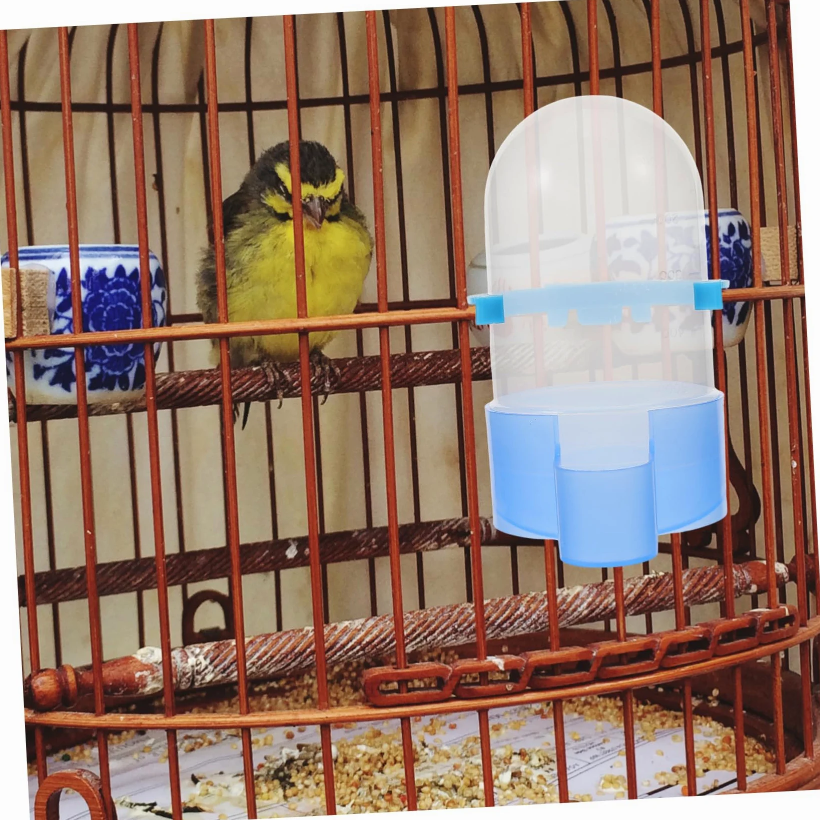 BESPORTBLE 4pezzi Mangiatoia Automatica Per Uccelli Con Distributore e Cibo Bevitore Multifunzione Per Pappagalli e Uccelli Domestici Realizzato Materiali Resistenti e Durevoli Facile Da