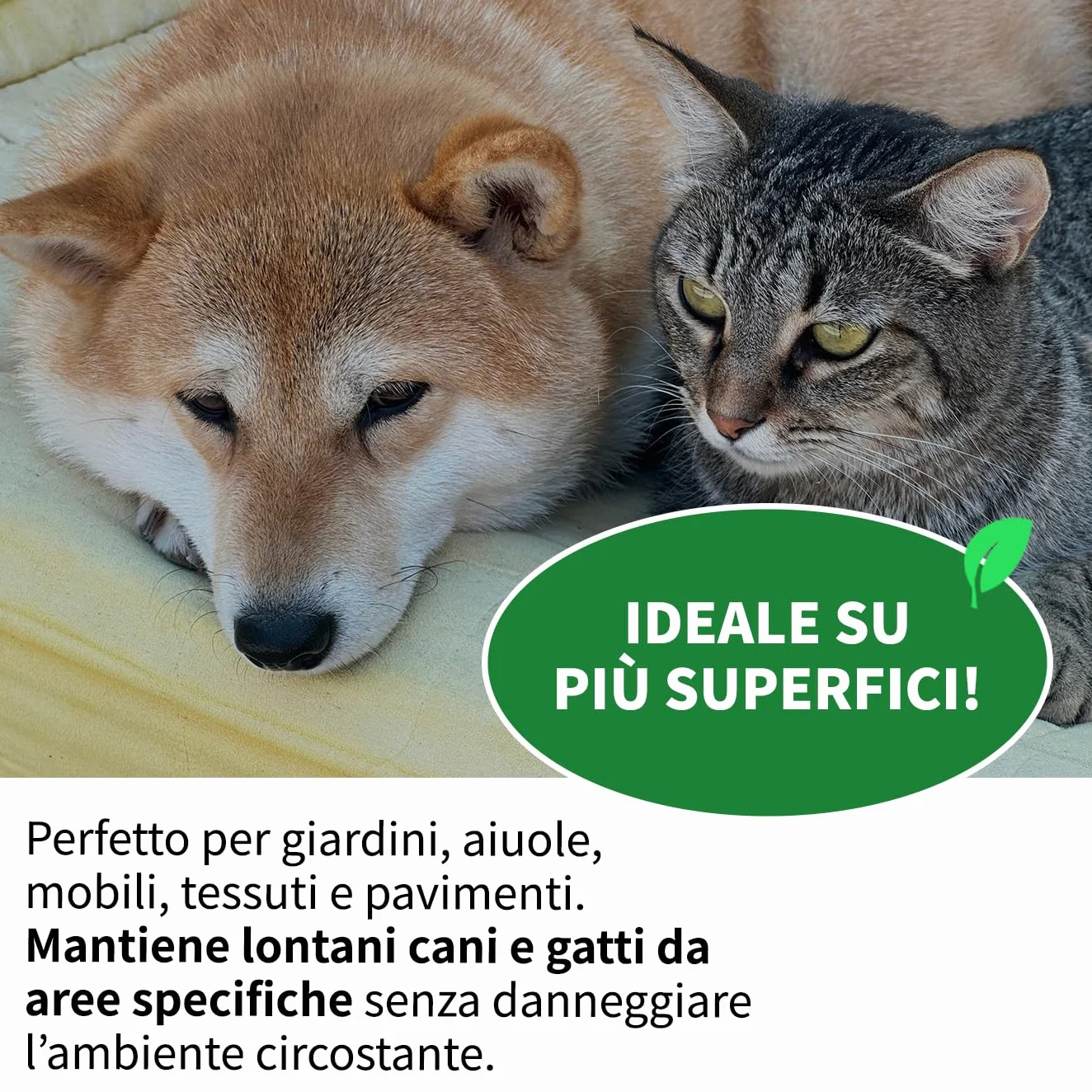 LEADER, Disabituante Spray, Repellente, Dissuasore, Allontana Cani e Gatti, Crea Barriera Olfattiva, Con Oli Essenziali ed Ingredienti Naturali, Uso per Superfici Interne ed Esterne, Formato da 1L