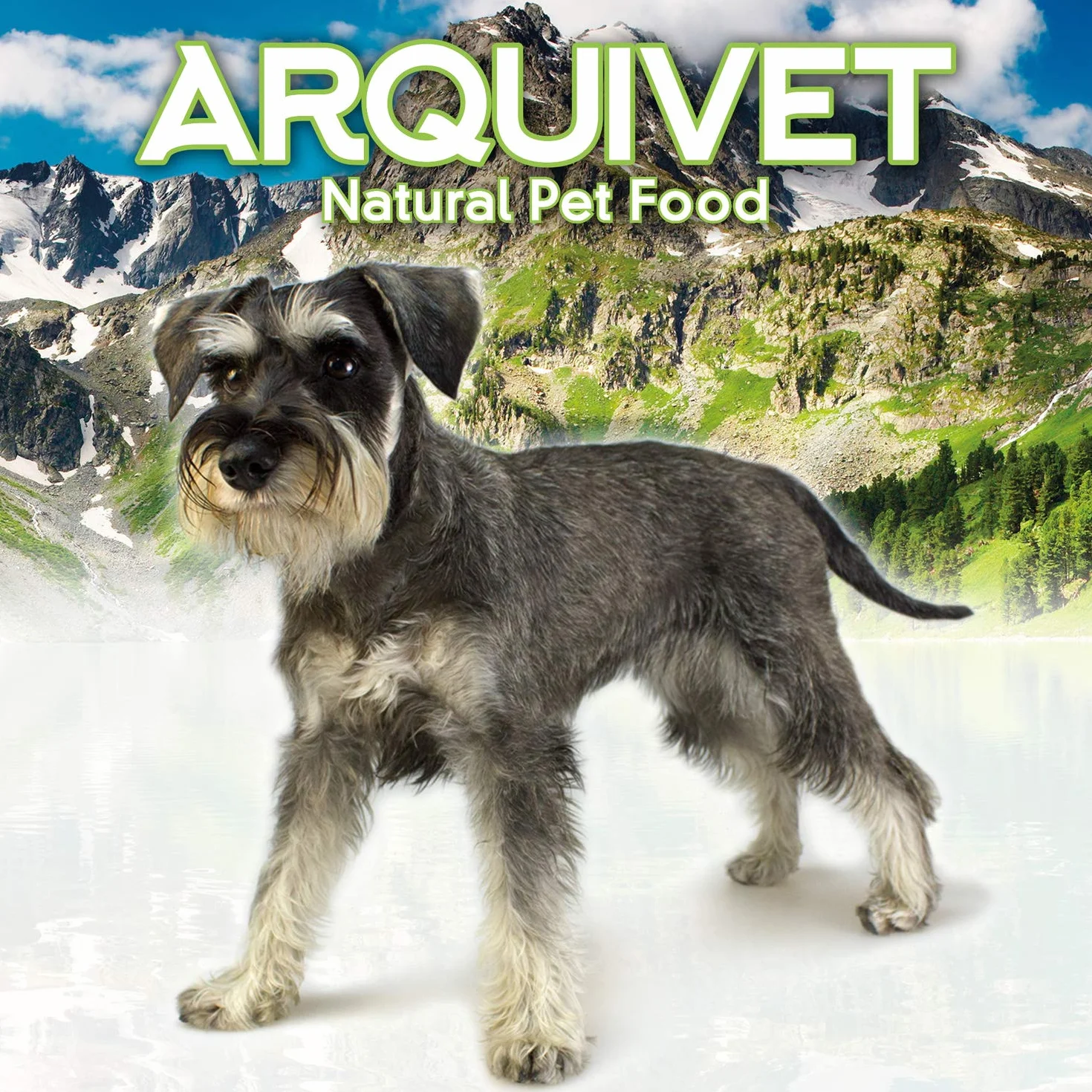 ARQUIVET Nervo di toro - 12 cm - snack naturali - busta 50 unità
