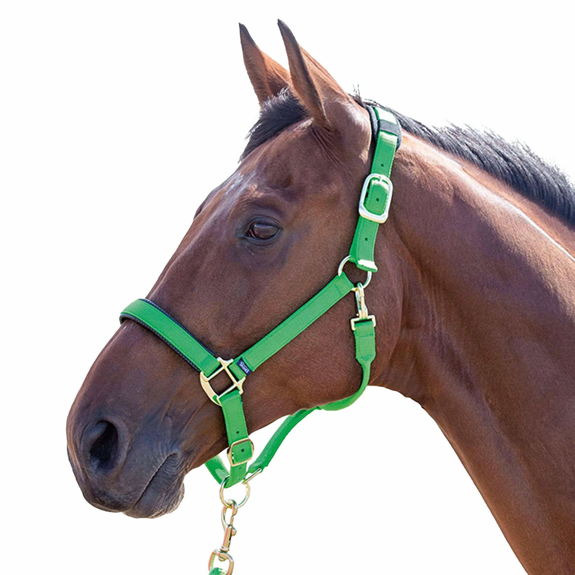 Shires, brigilia Topaz 387 in nylon, Blue, Cob