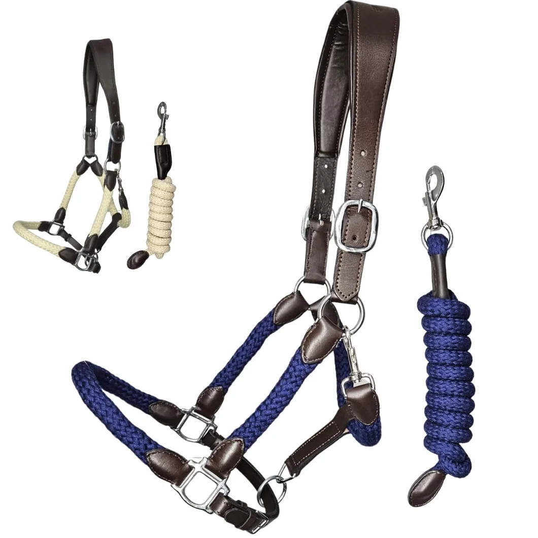 capezza cavallo con lunghina cavallo abbinato - cavezza per cavallo premium - in cuoio e cotone - sovracapo anatomico - taglia full