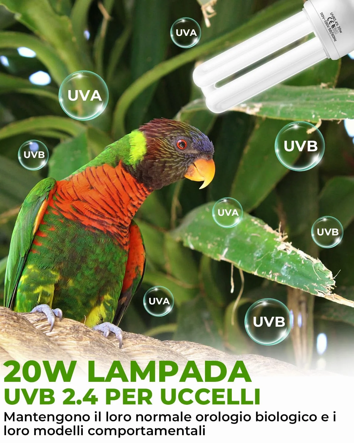 GlowUp Lampadina UVB 2.4 20W E27 per Pappagalli Kit Combinato