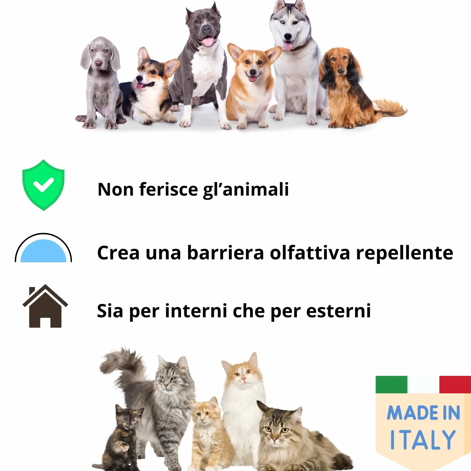 Sandokan, Disabituante Cani e Gatti Spray 1L, Repellente per Gatti e Cani Educativo No Gas, Dissuasore per Gatti e Cani Liquido per Esterno e Interno, Non Tossico, Sicuro Per Animali, Made in Italy