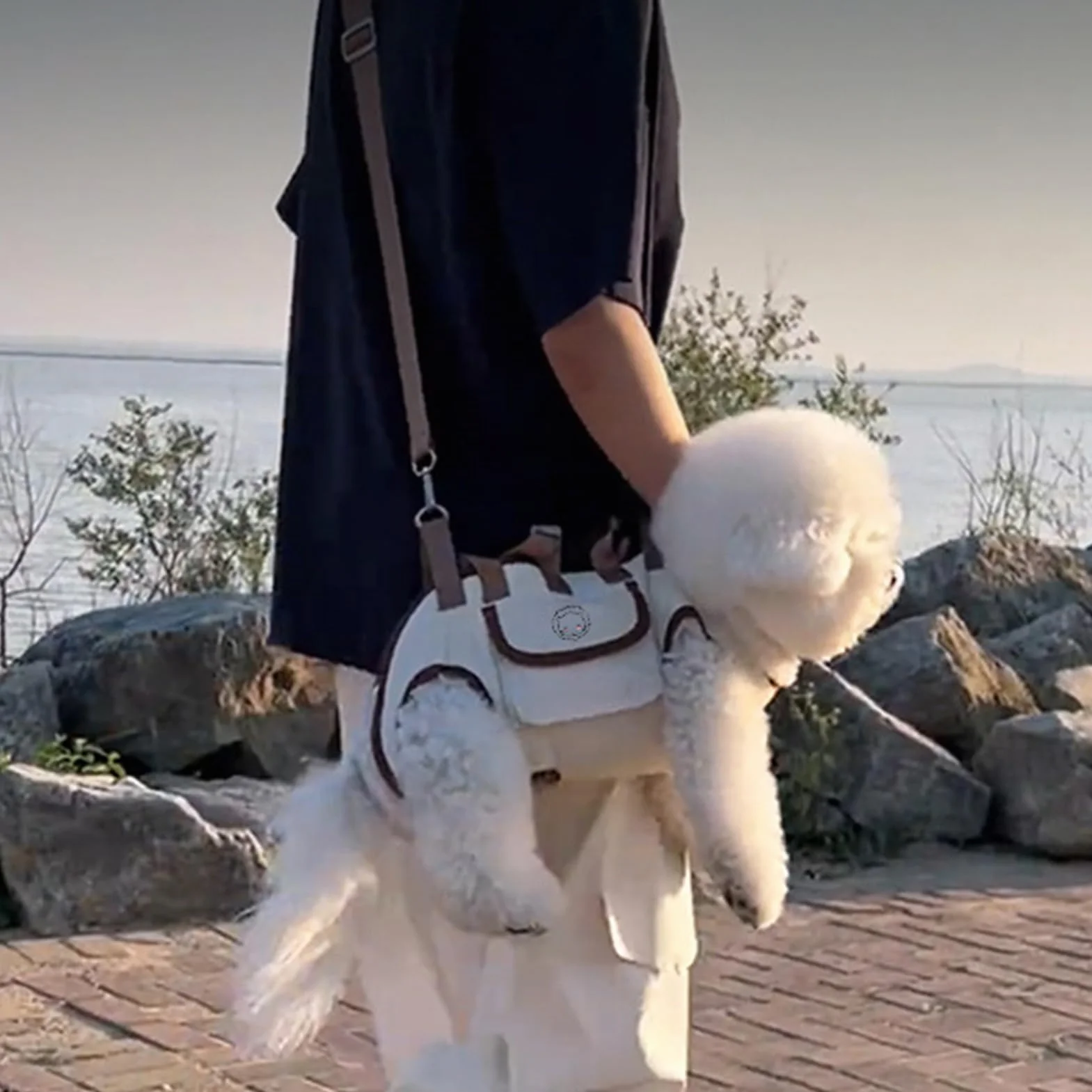 Dog Backpack, Small Dog Backpack with Snack Bag, Portable Adjustable Pet Carry Pack with Lightweight Harness Storage, Ideal for Daily Walks, Hiking, Car Trips, Camping, Indoor Training