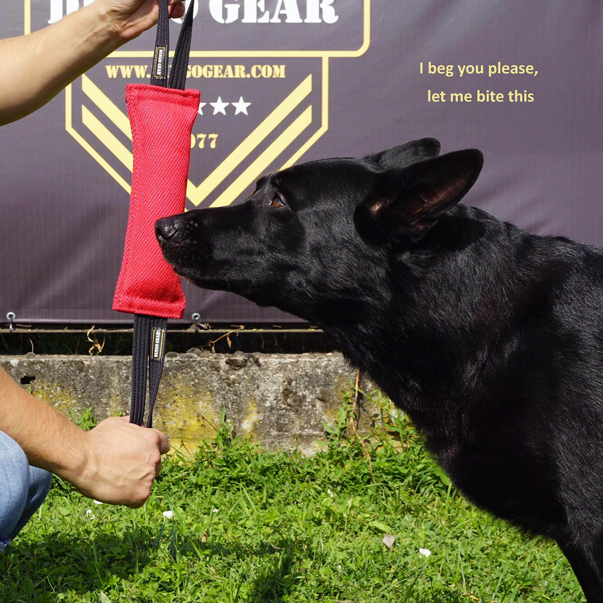 Dingo Gear - Rimorchiatore in Nylon per addestramento Cani IGP & Fun, 2 Maniglie, Nero, 28 x 7 cm