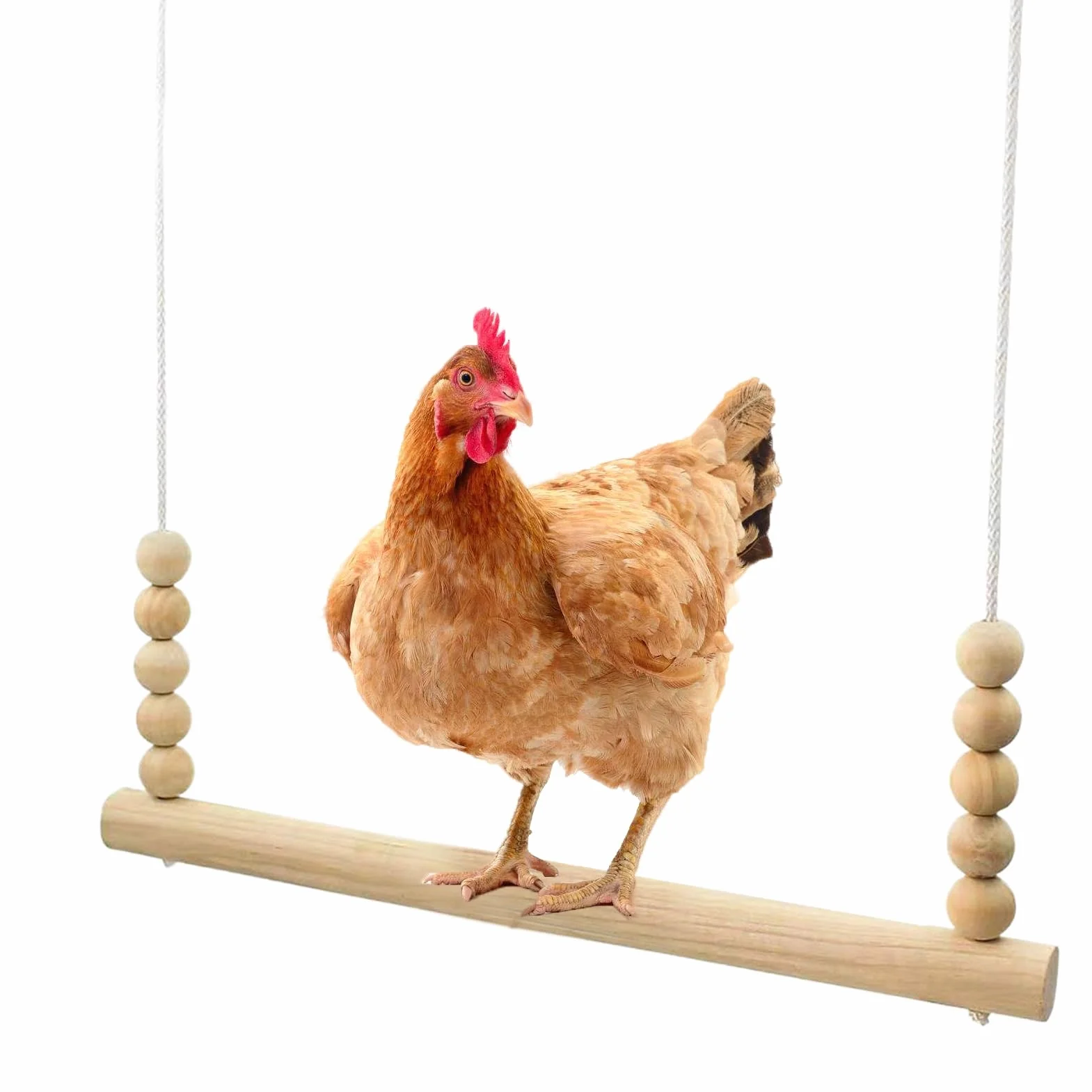 Altalena Per Galline Posatoio In Legno Naturale Stabile Interattivo Arricchimento Riposo Pappagalli
