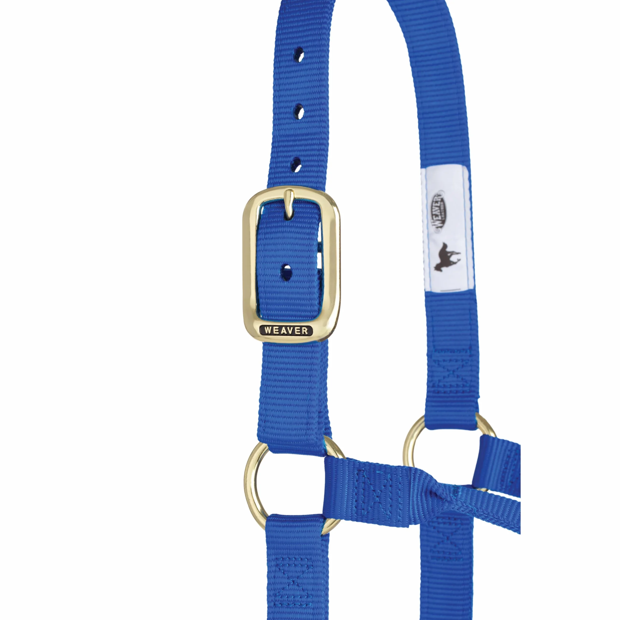 Weaver Leather Original - Cavezza non regolabile, per cavallo tra 1 e 2 anni, M, blu