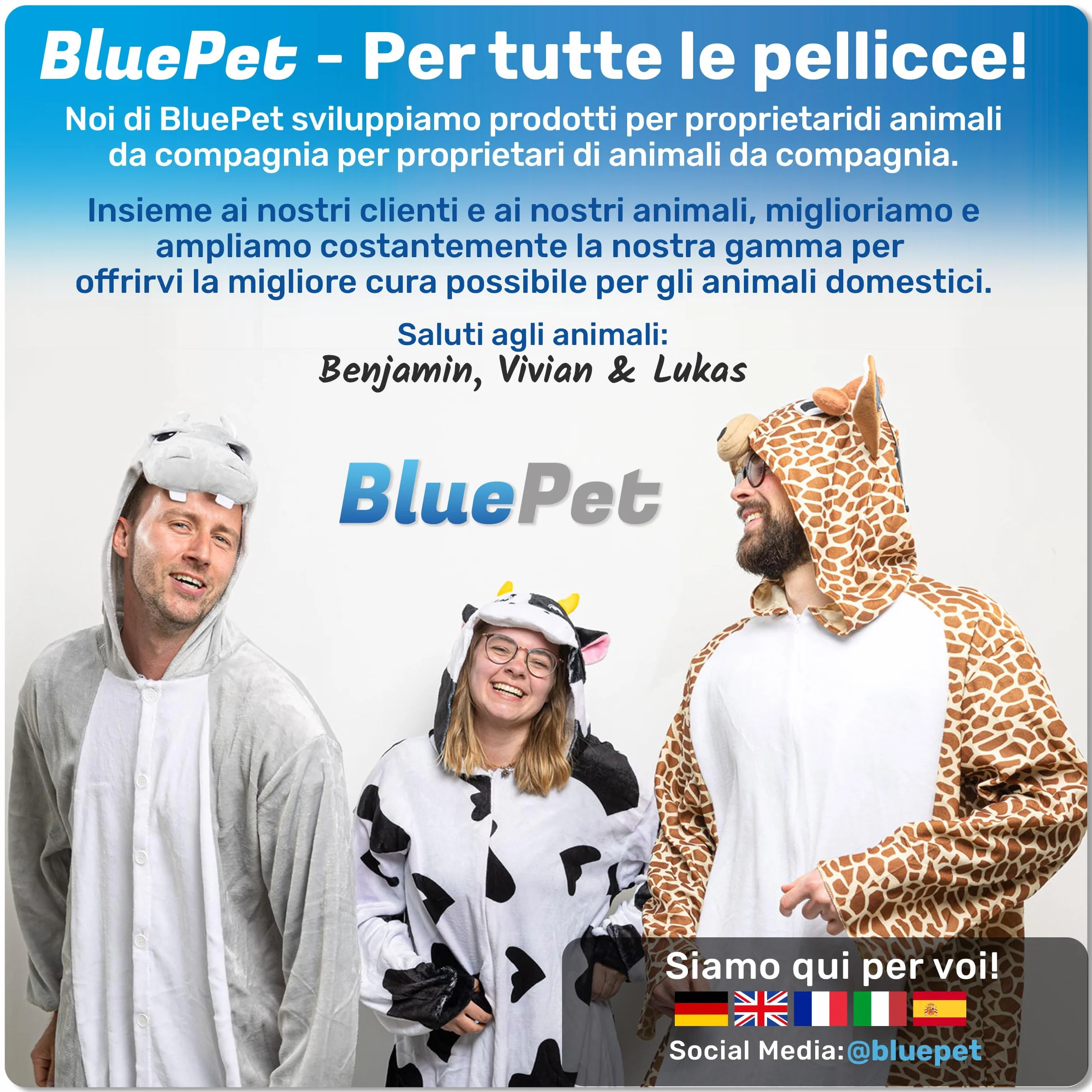 BluePet 3X Ganci per Zecche per Cani, Gatti, Cavalli e Umani - Rimuovi Zecche, Pinza per Zecche per Cane, Gatto, Uomo, Alternativa alle Pinzette per Zecche, Togliere Zecche e Tira Zecche